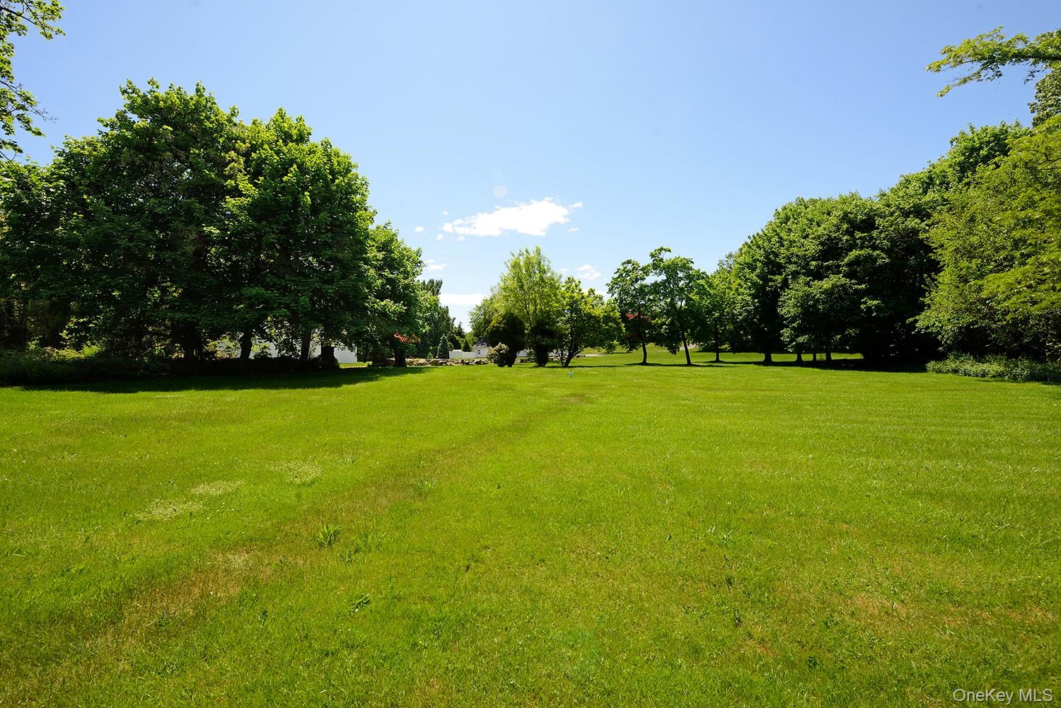Listing image 50