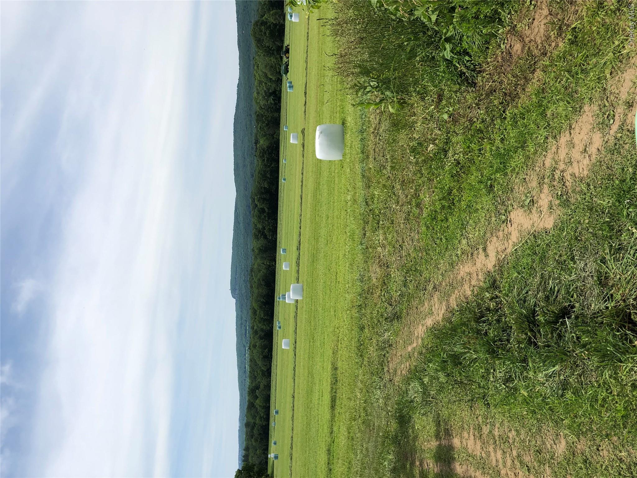 Listing image 24