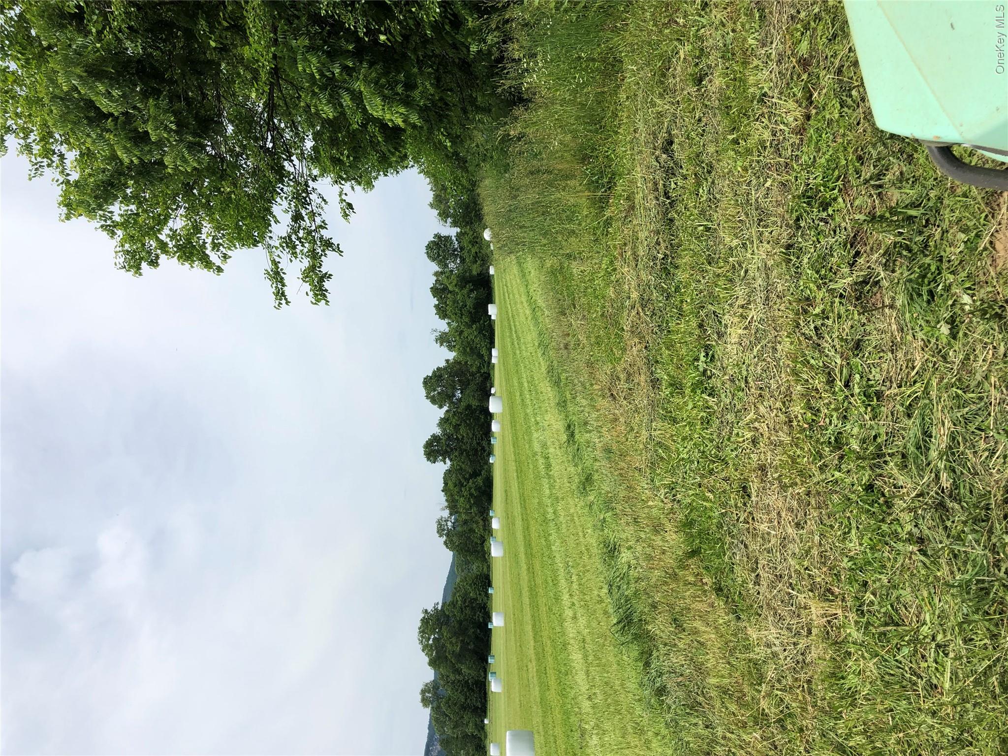 Listing image 26