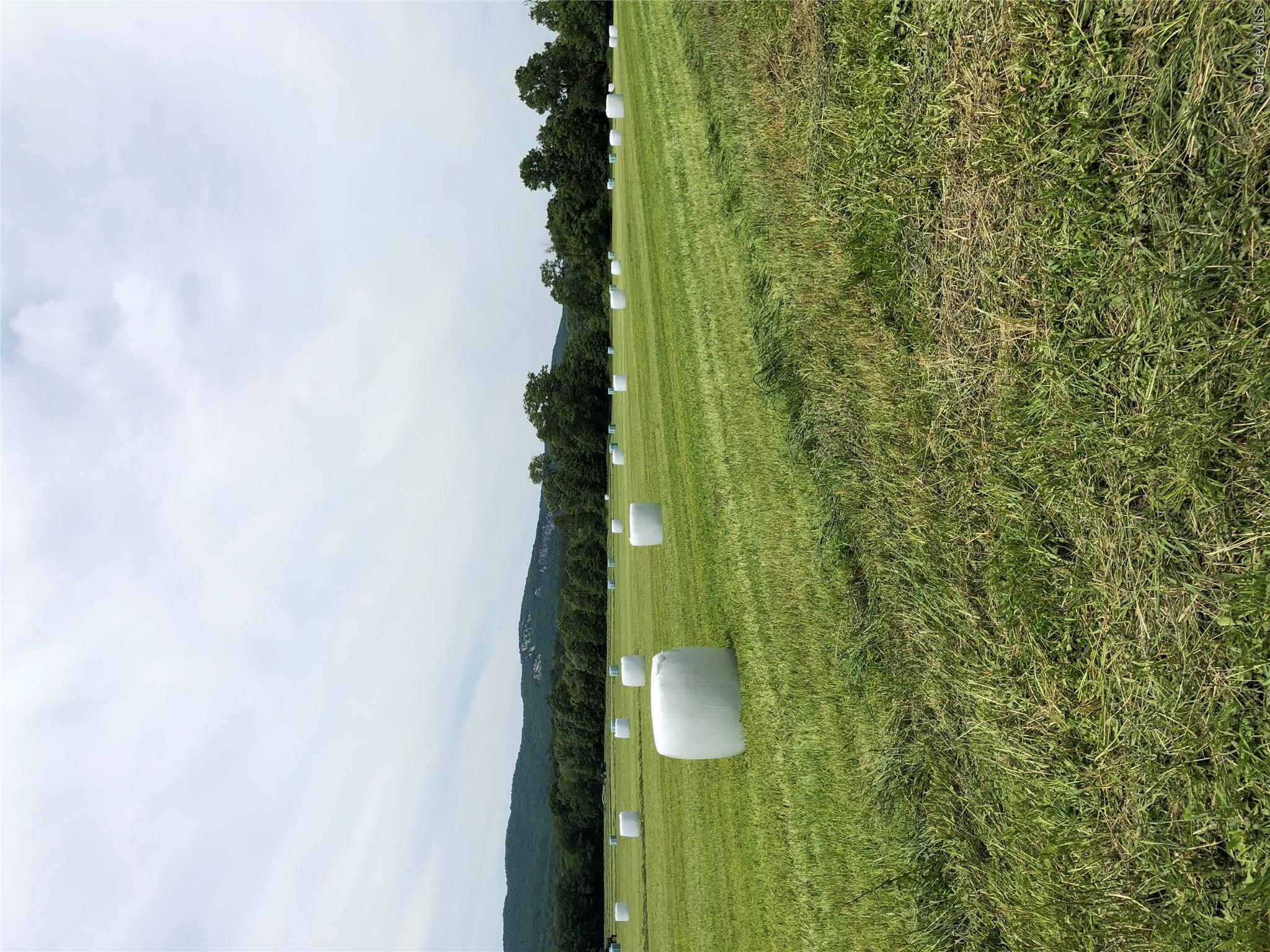 Listing image 27