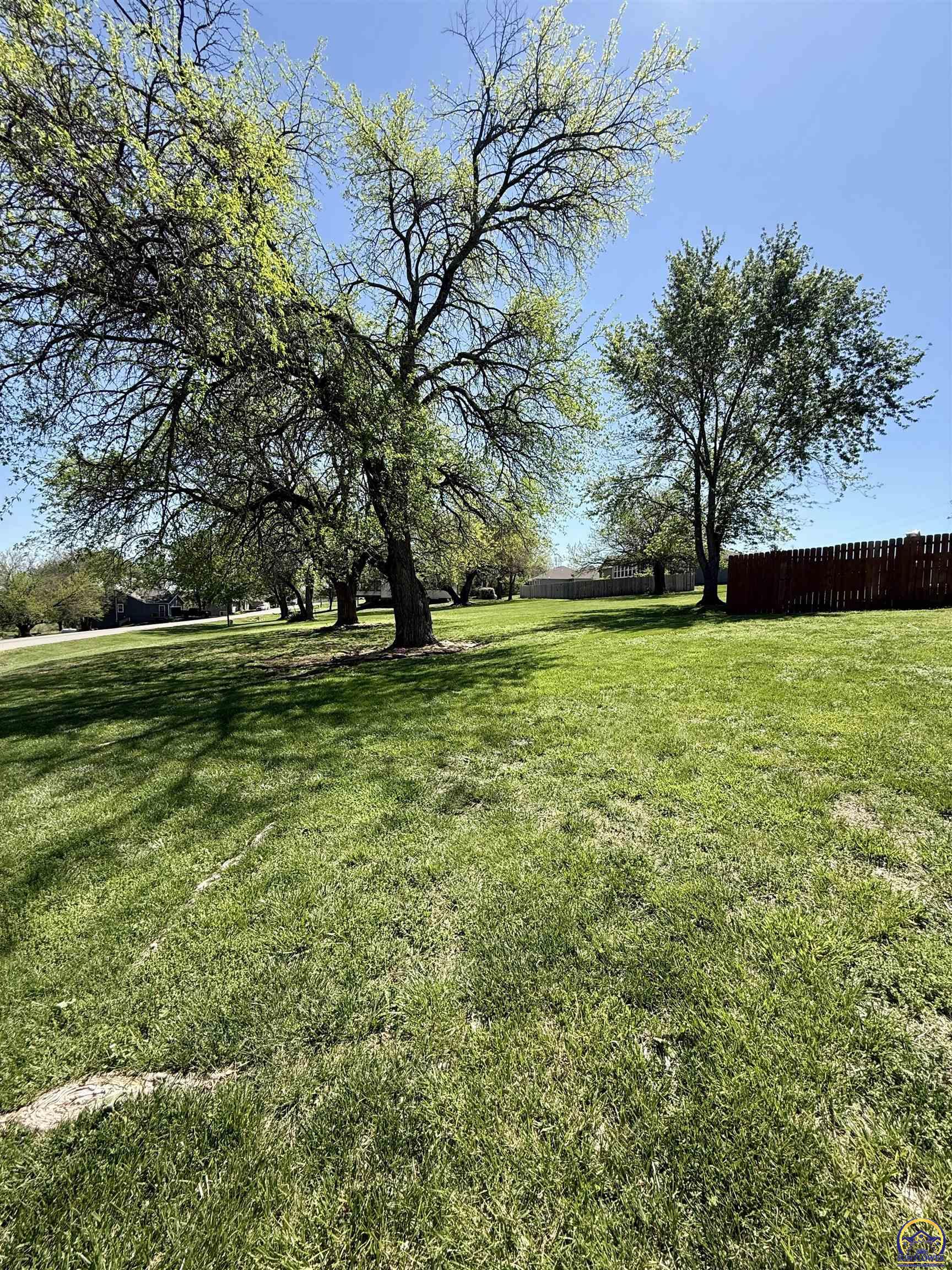 Listing image 42
