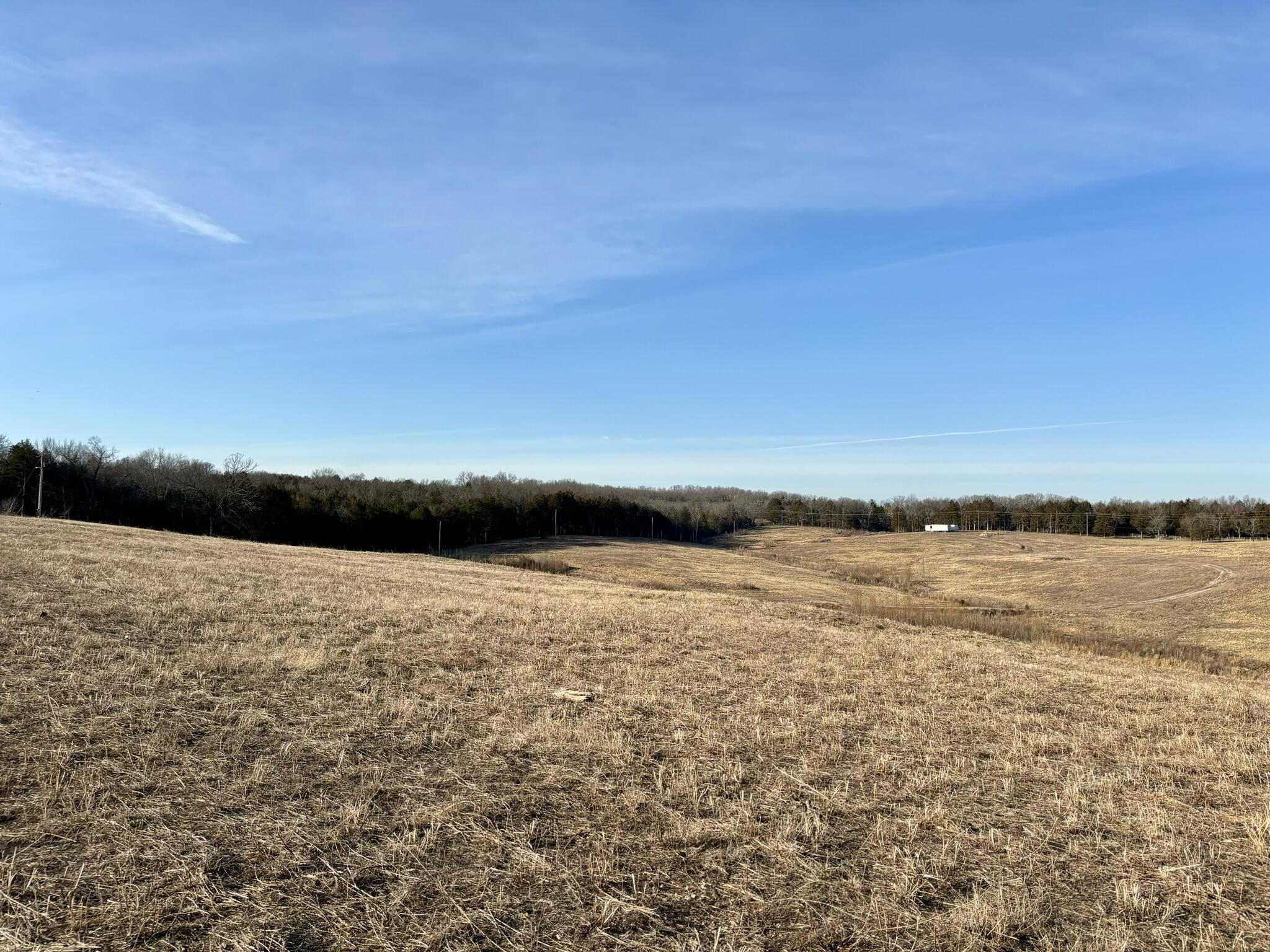 Listing image 24