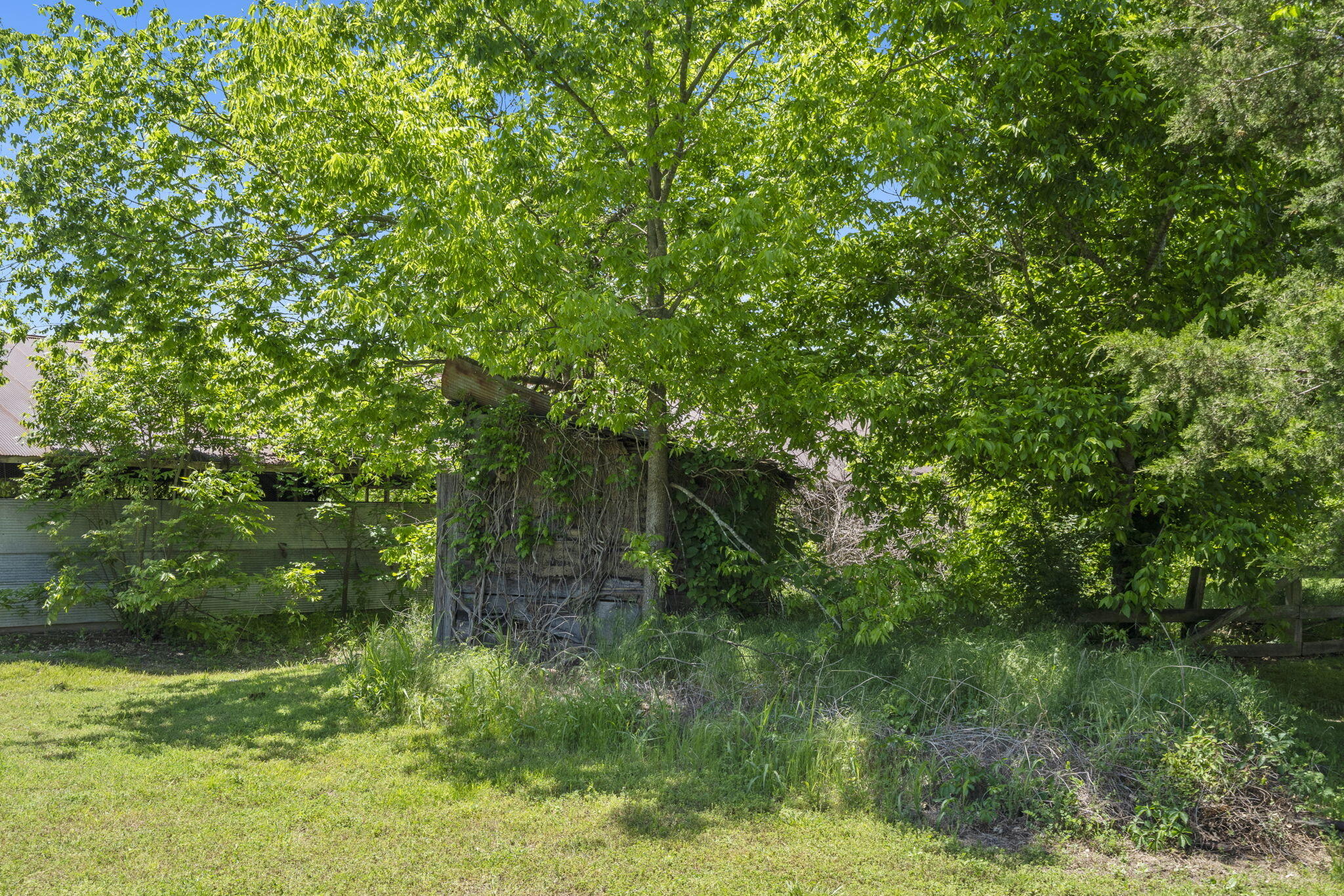 Listing image 58
