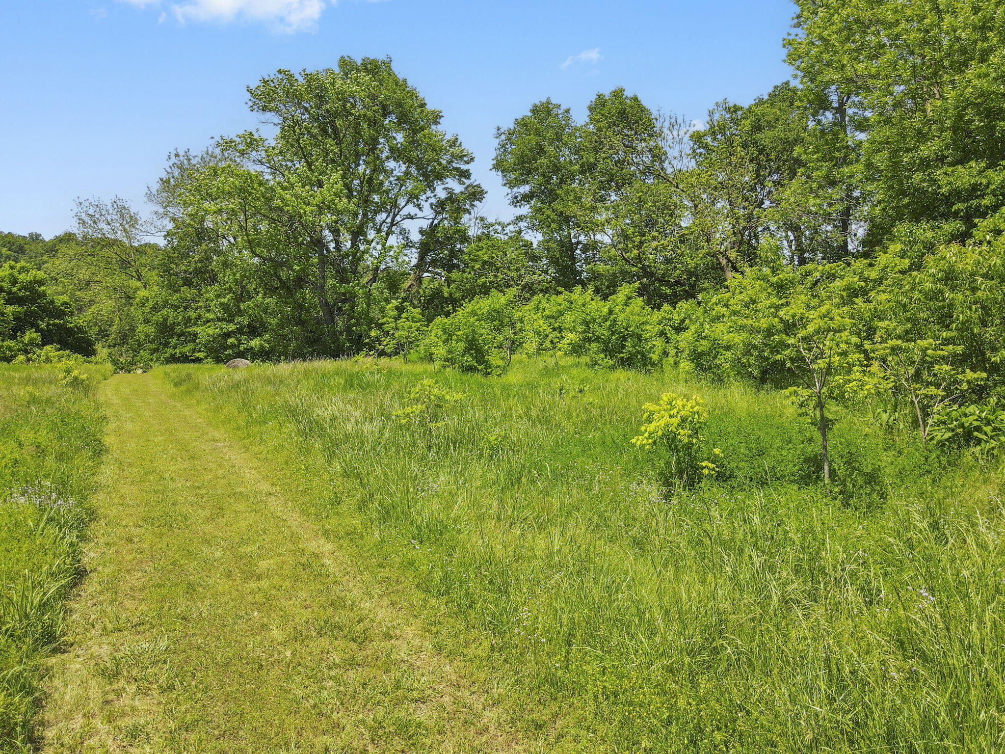 Listing image 65