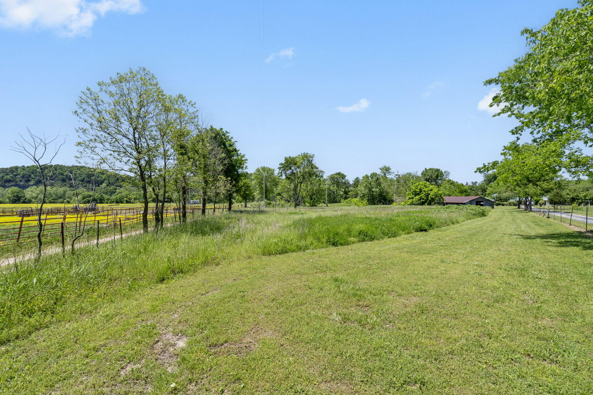 Listing image 59