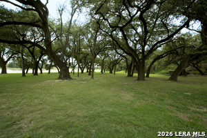 Listing image 72