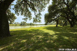 Listing image 74