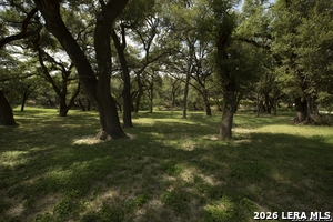 Listing image 76
