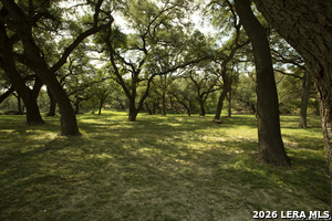 Listing image 77
