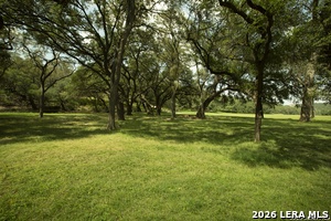 Listing image 78