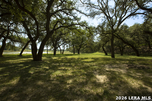 Listing image 79