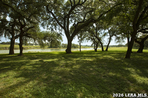 Listing image 80
