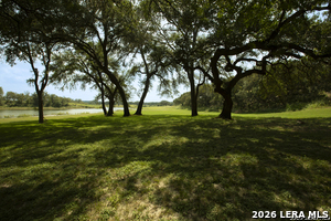 Listing image 82