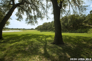 Listing image 83