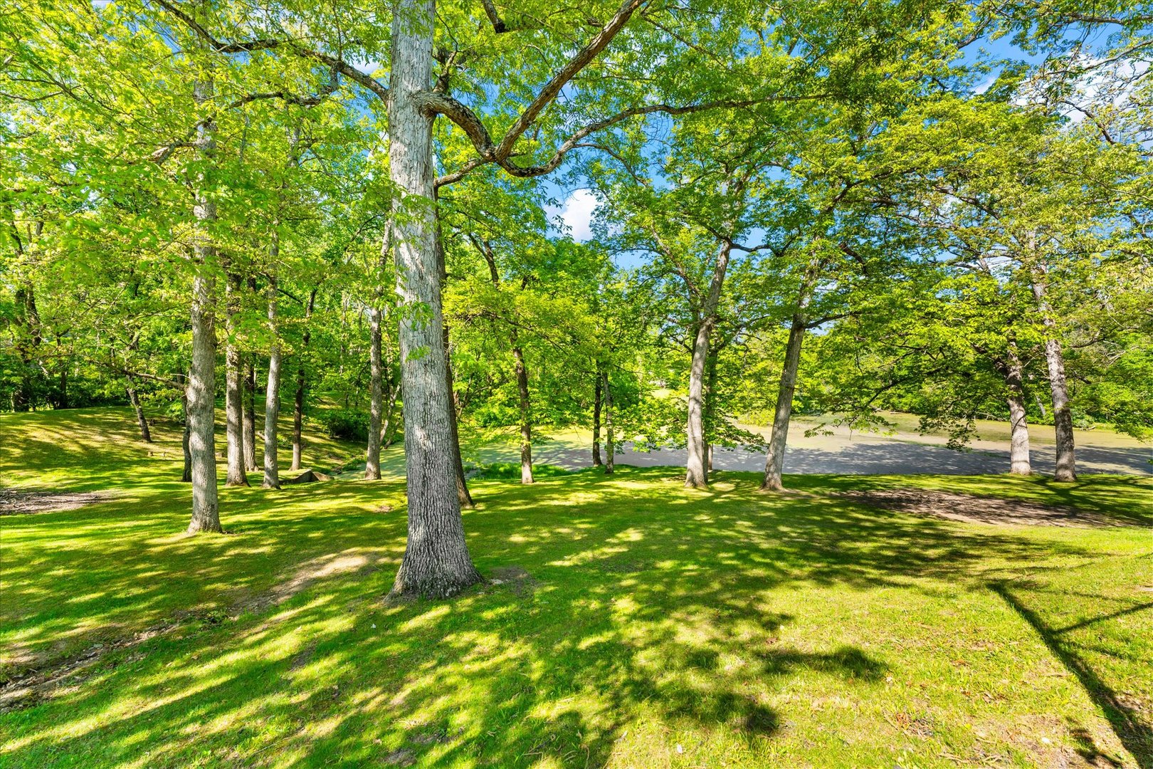Listing image 86