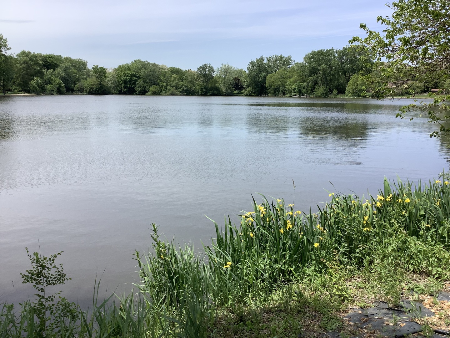 Listing image 11