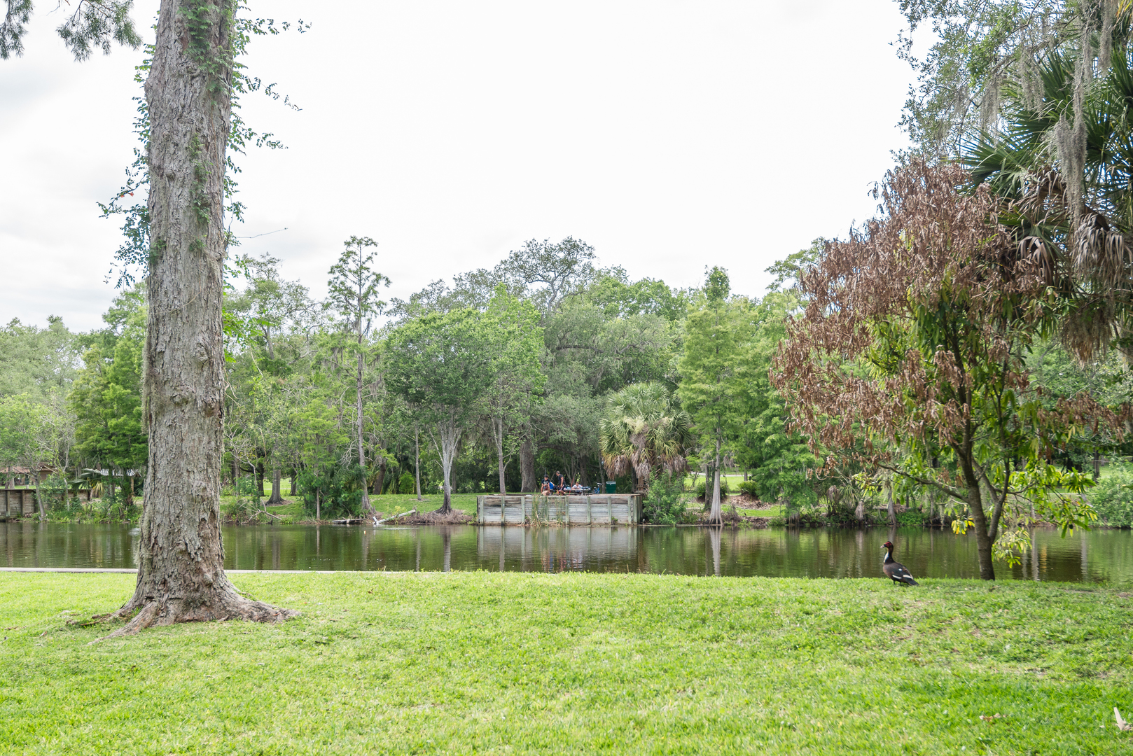 Listing image 38