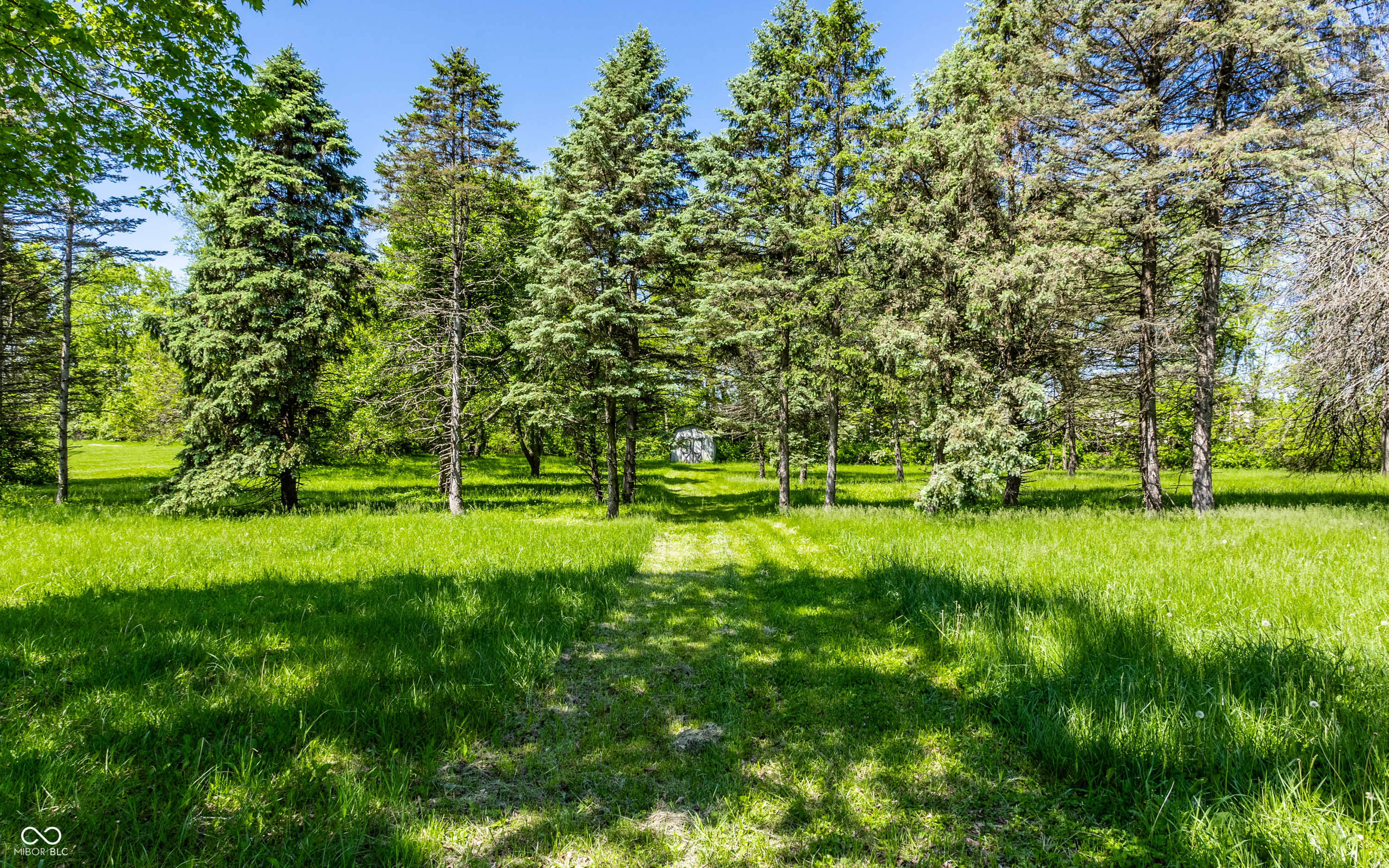 Listing image 78
