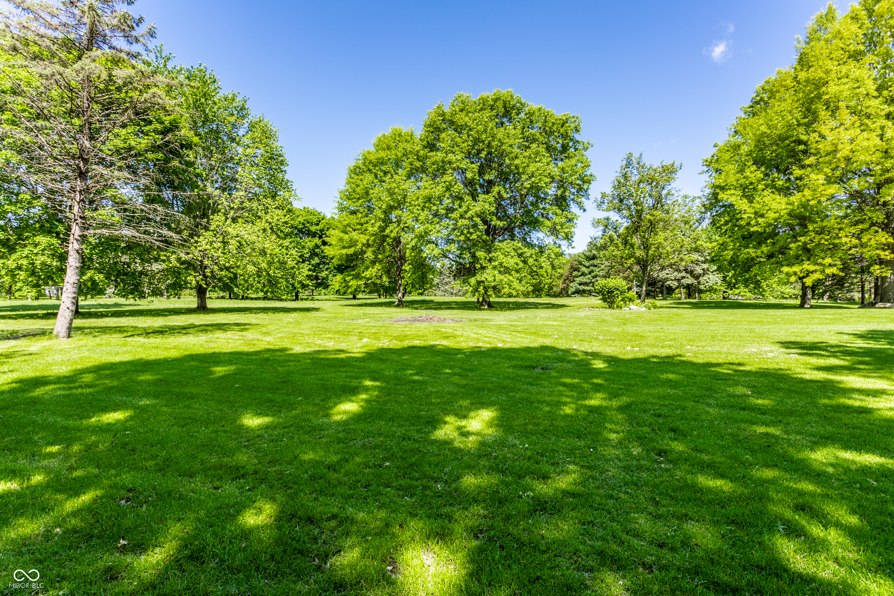Listing image 80
