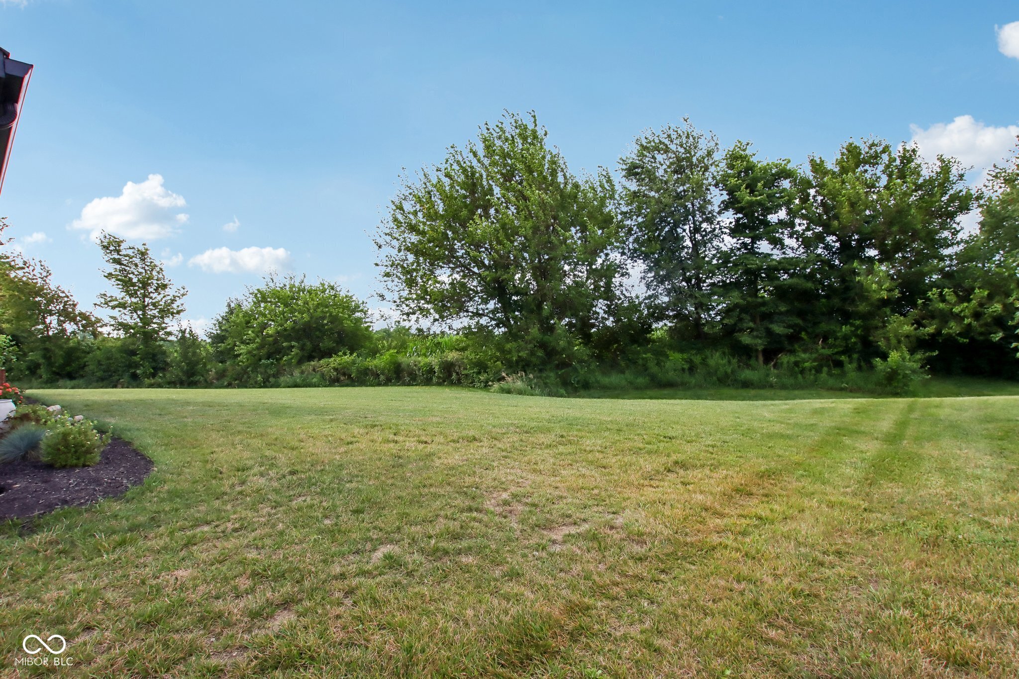 Listing image 61