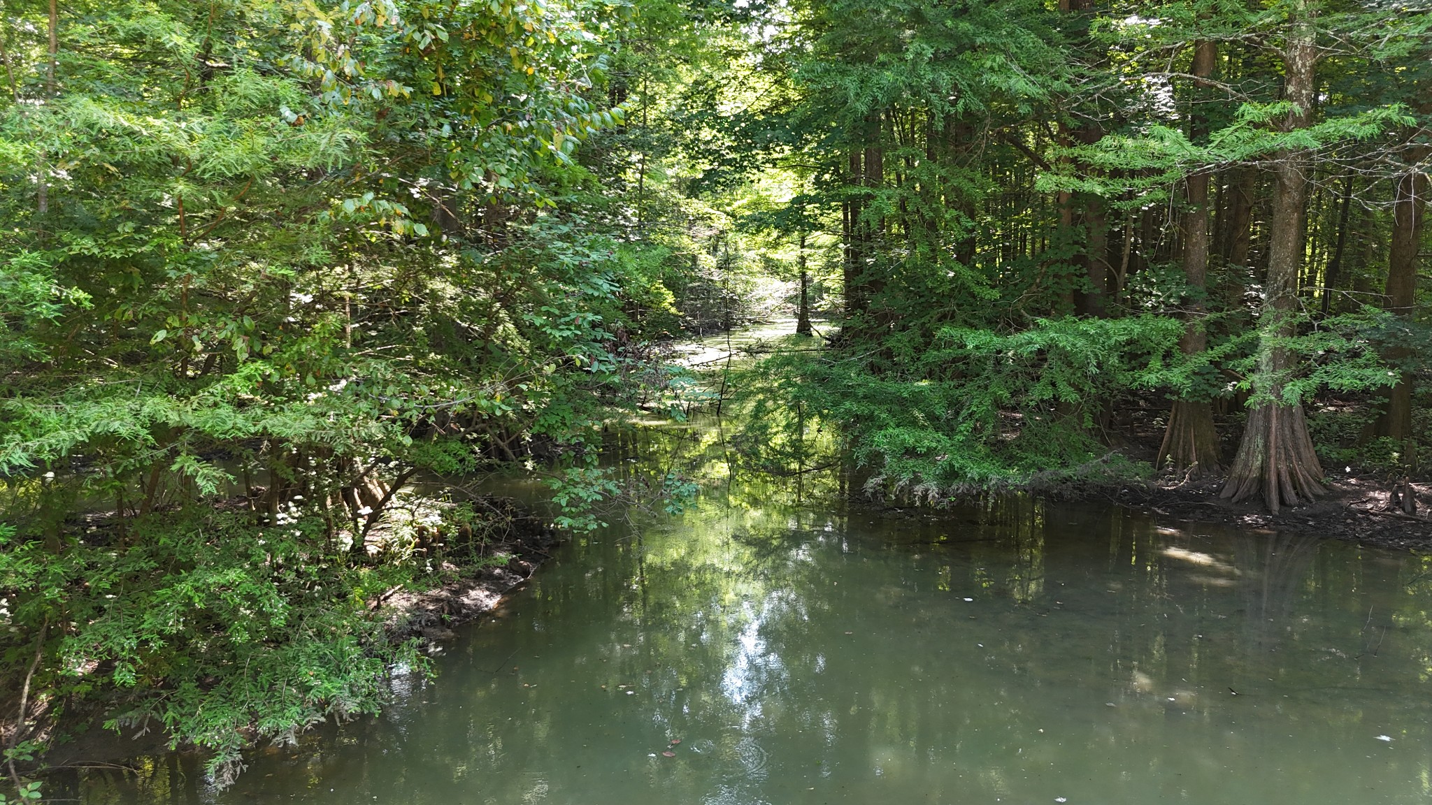 Listing image 66