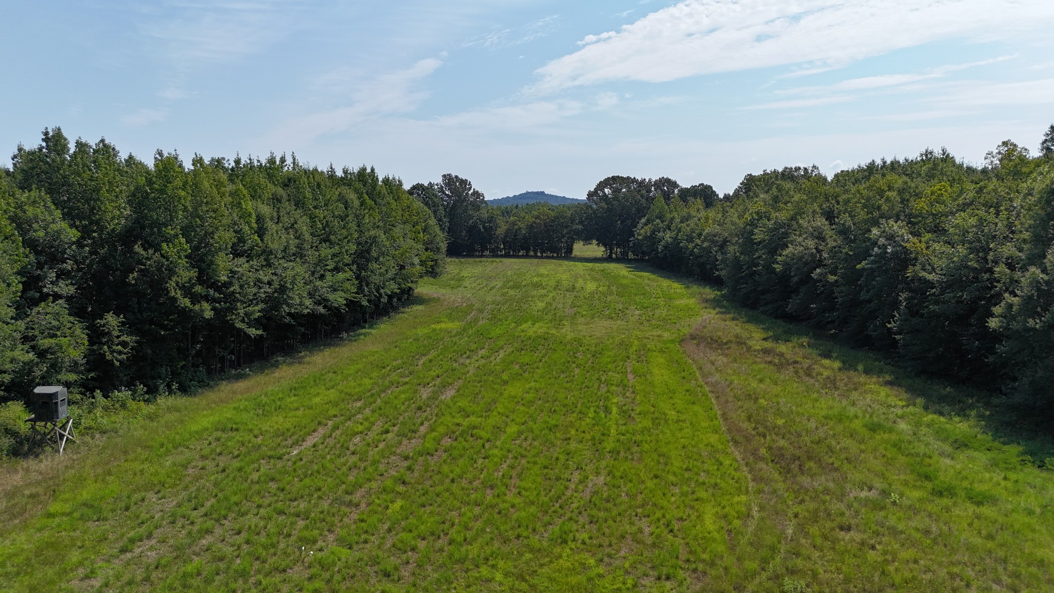 Listing image 73