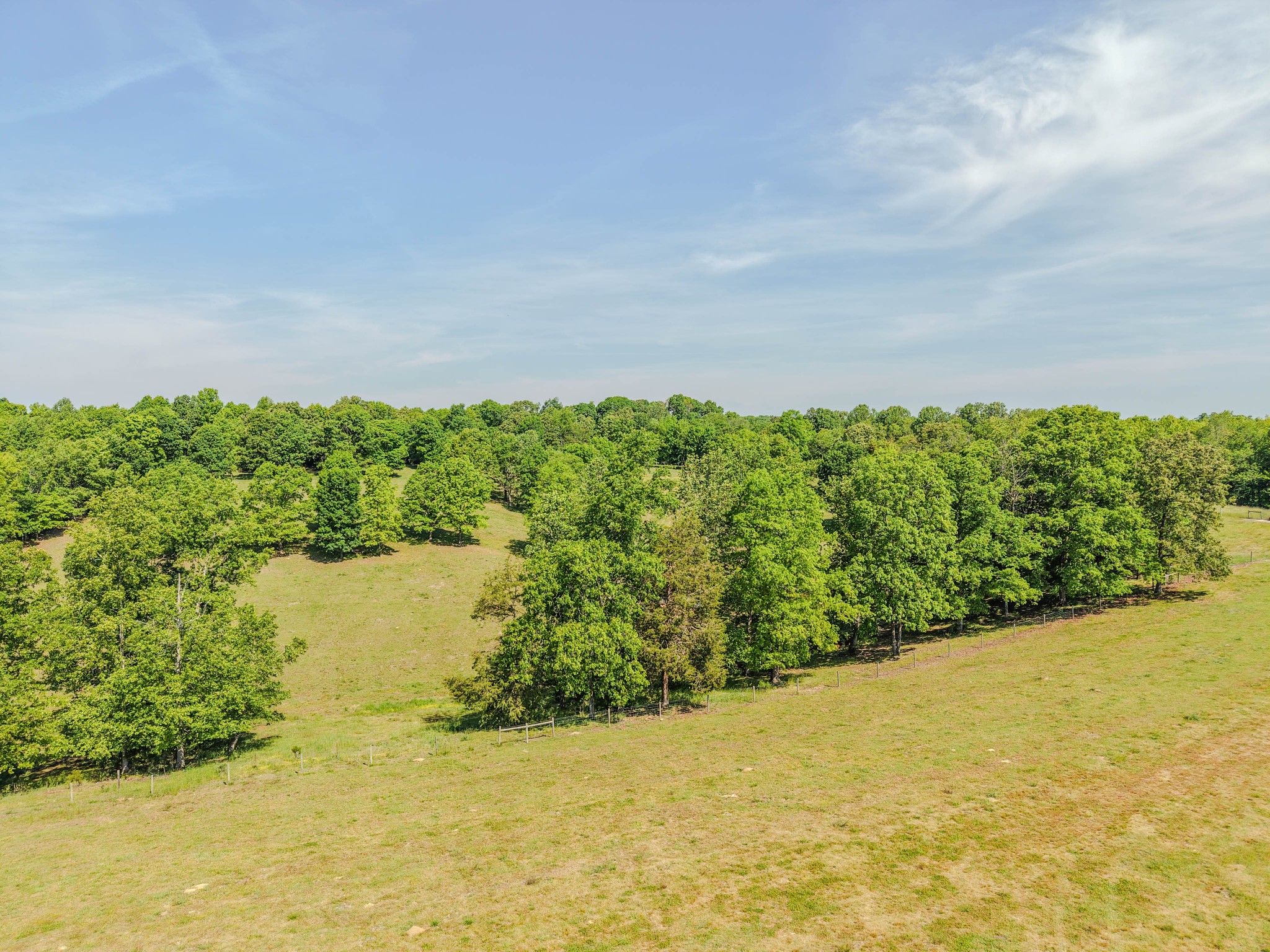 Listing image 69