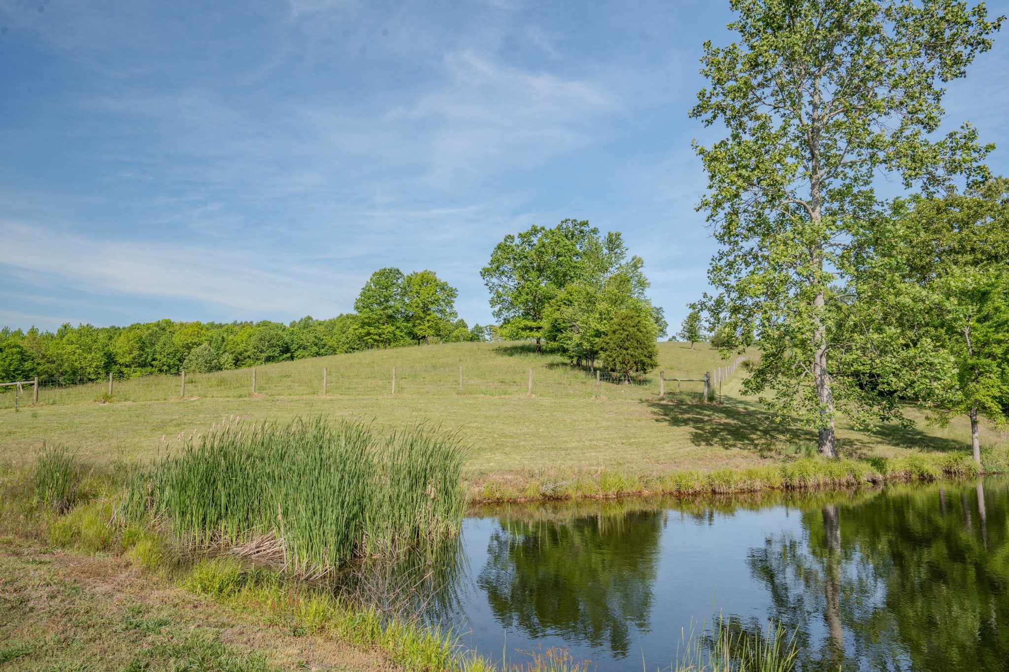 Listing image 28