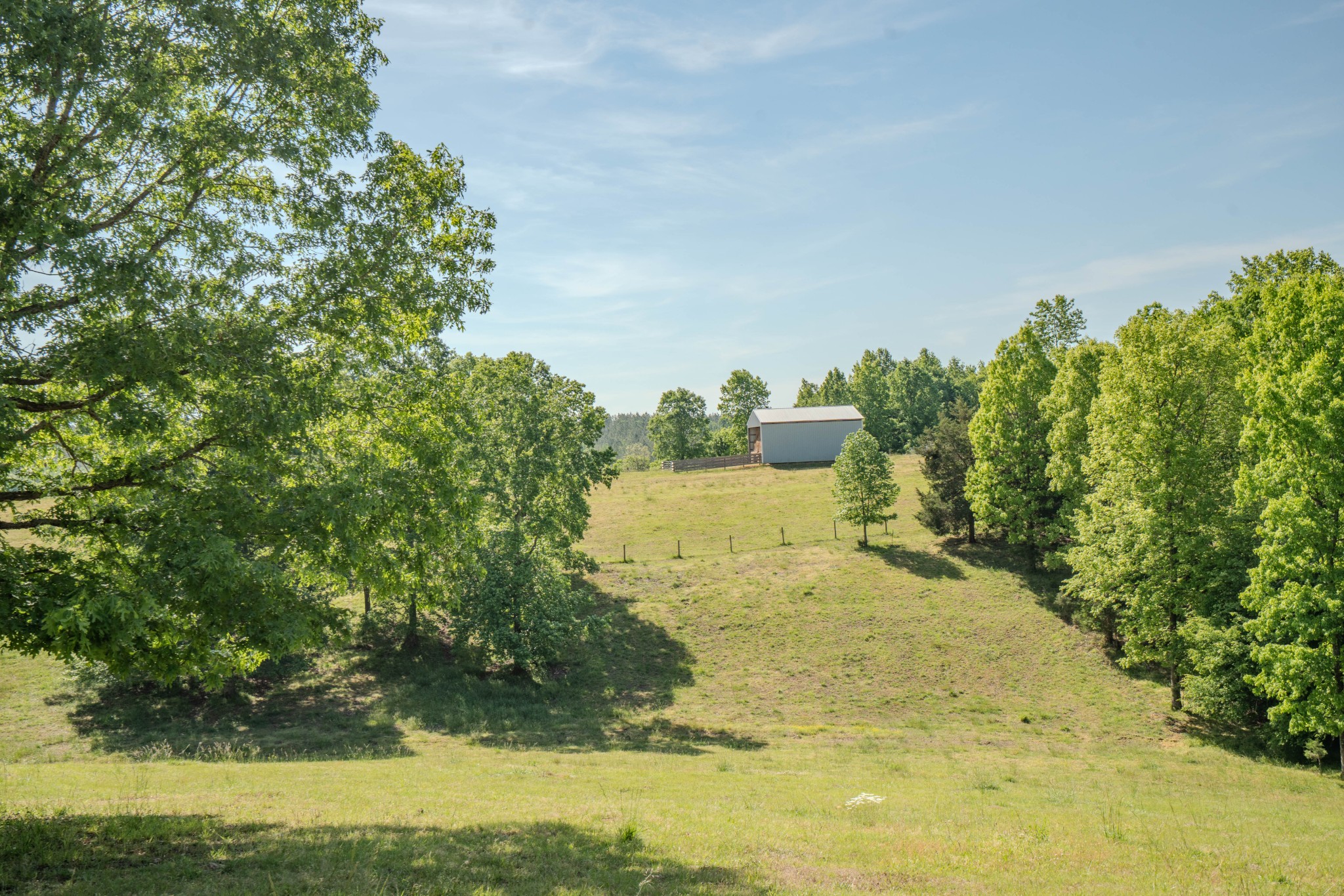 Listing image 59