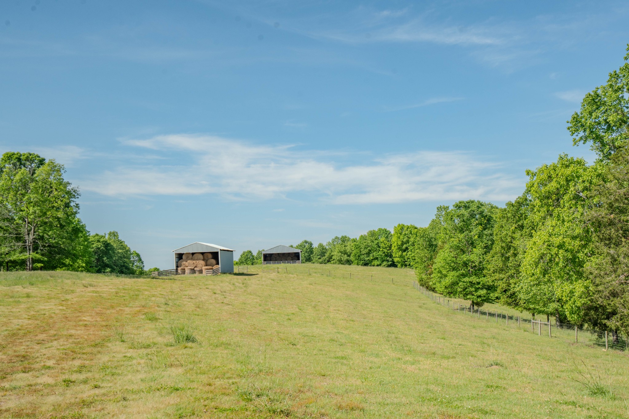 Listing image 54