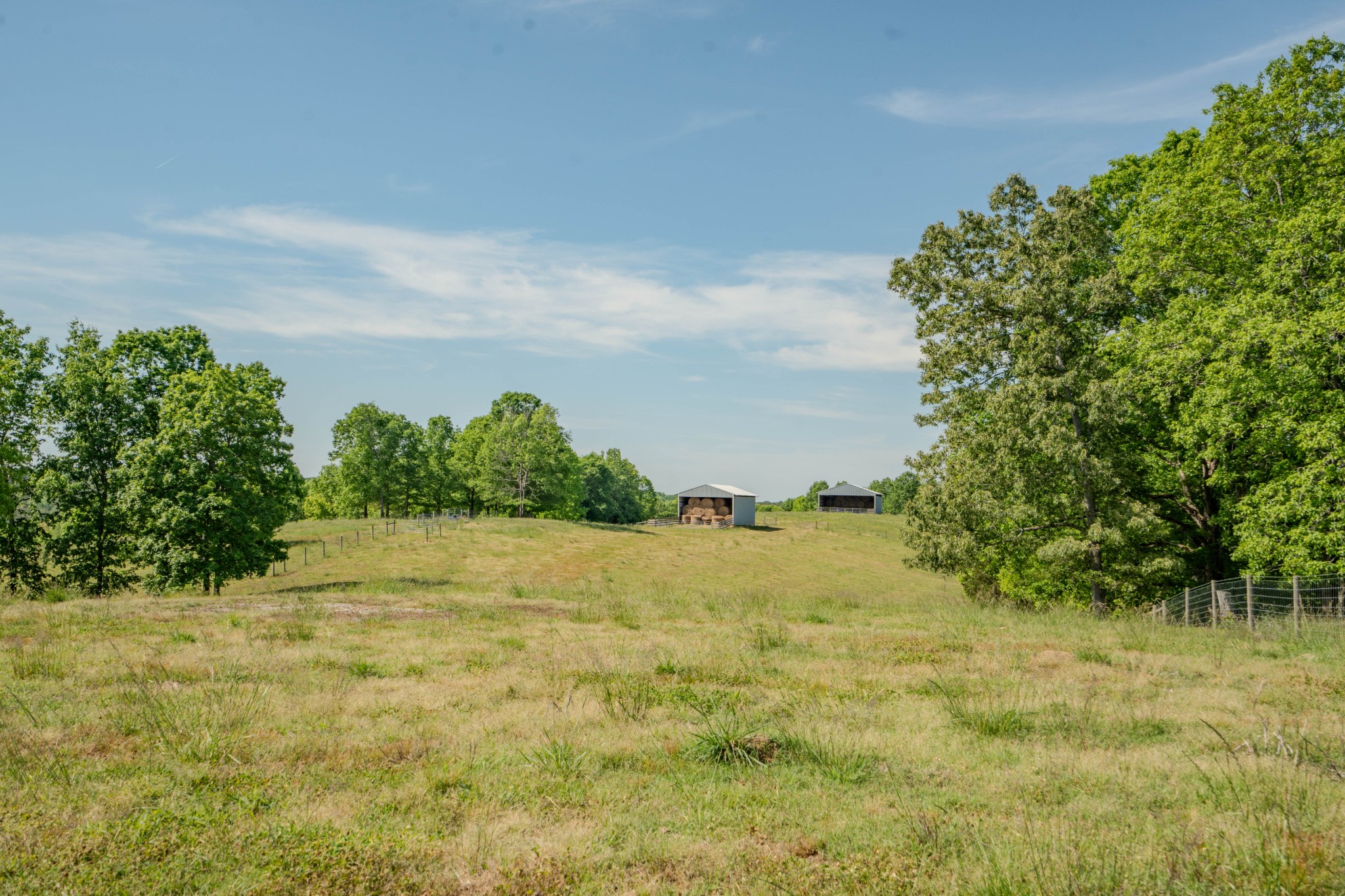 Listing image 67
