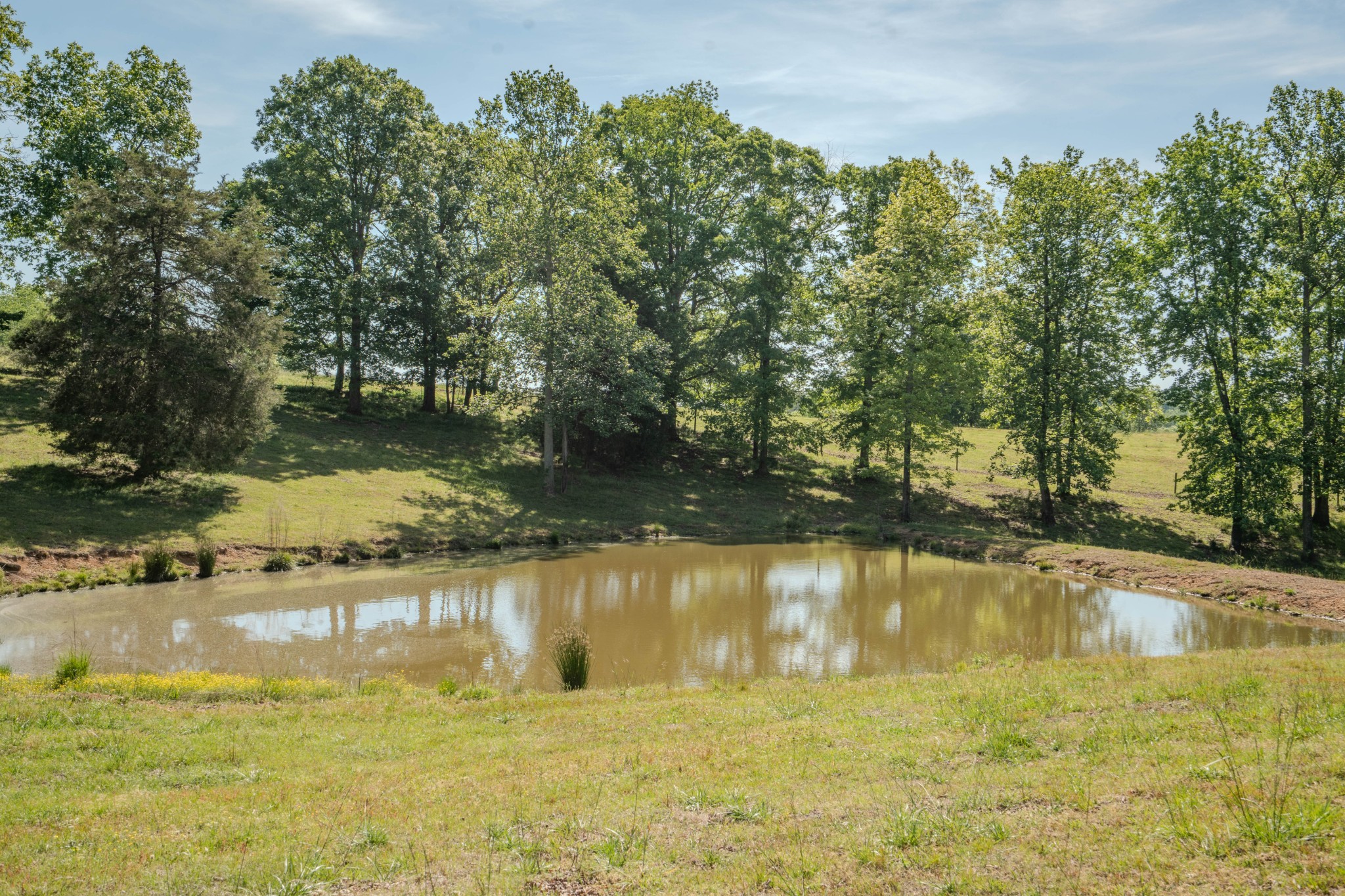 Listing image 62