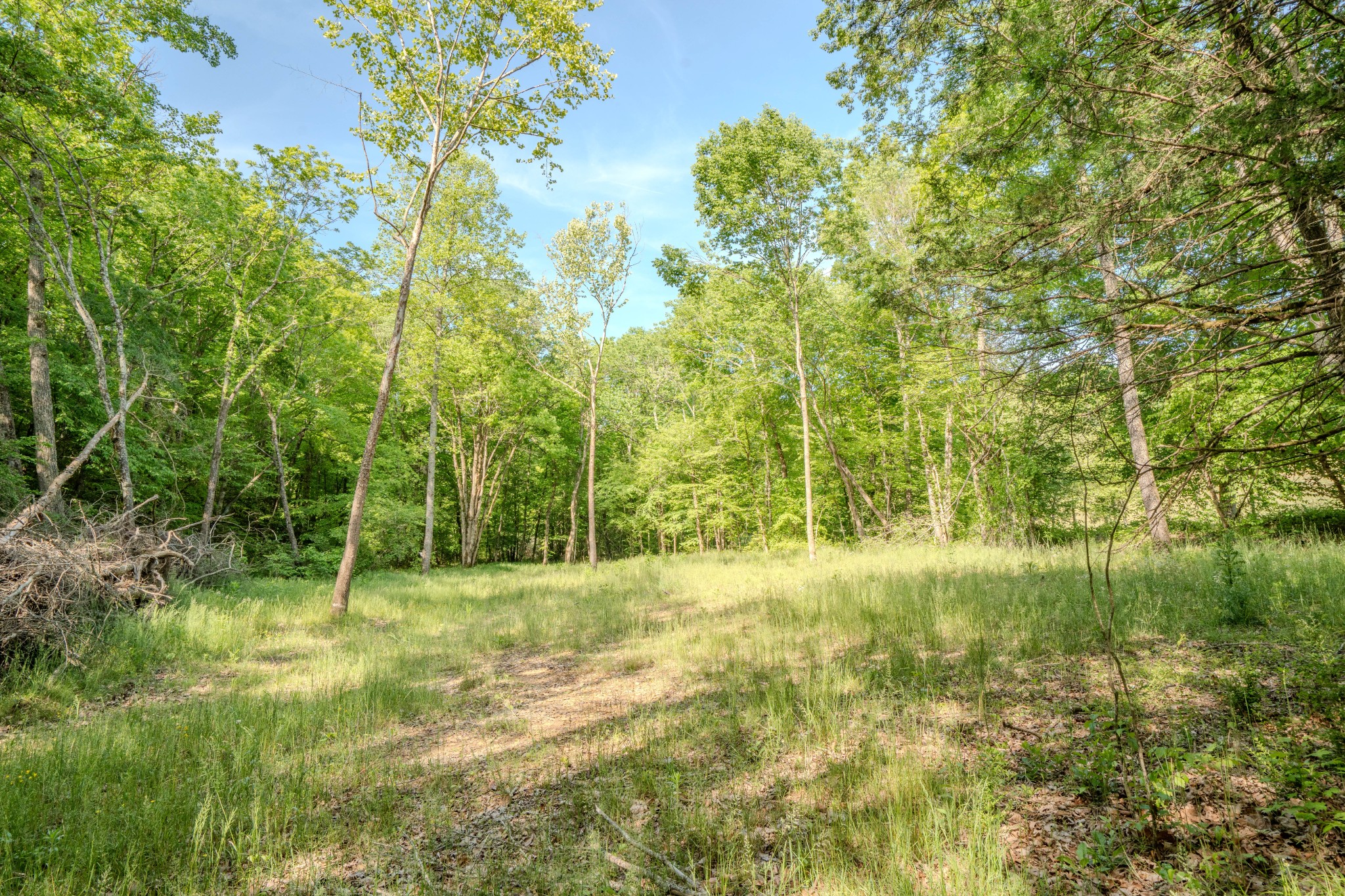 Listing image 45