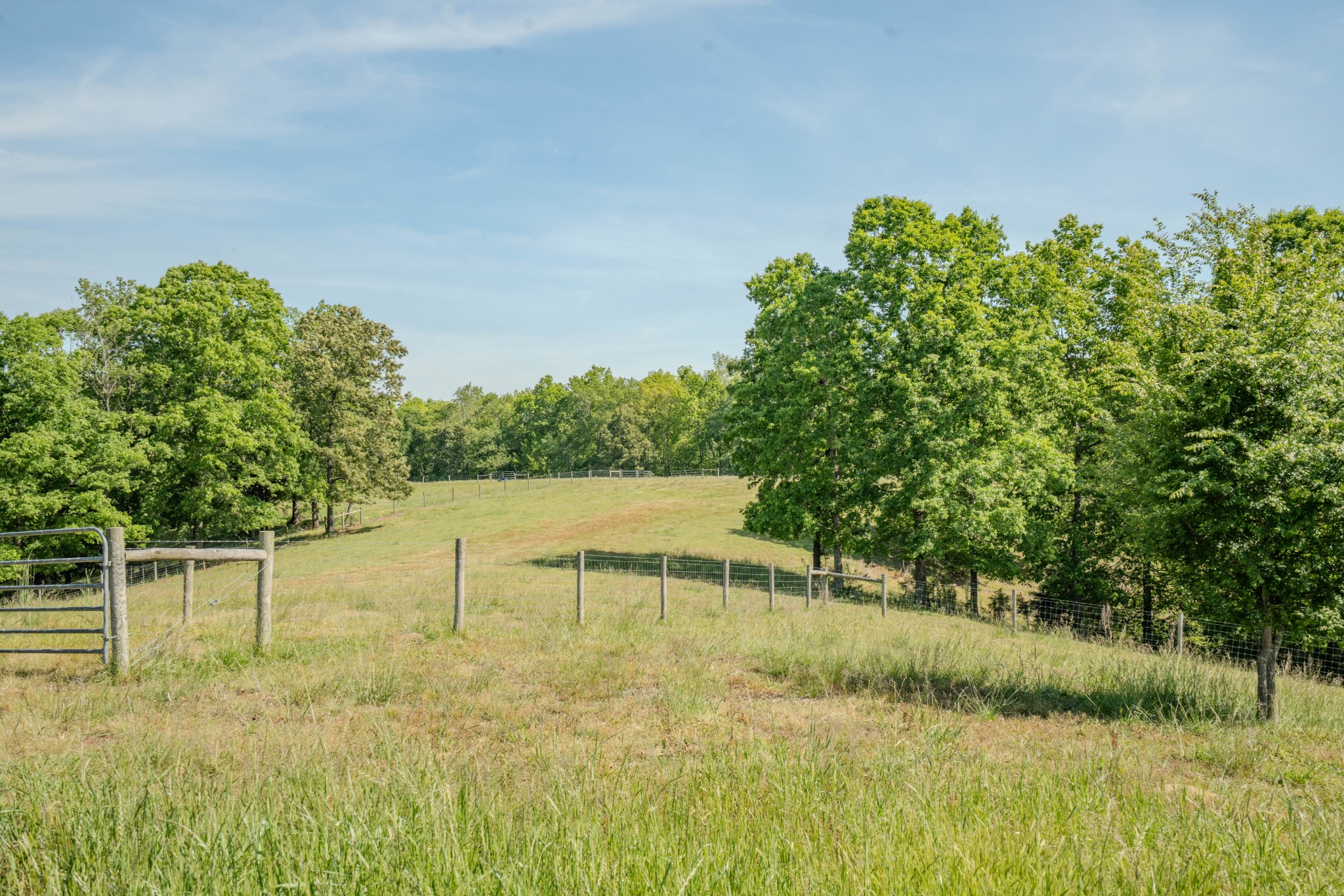 Listing image 58