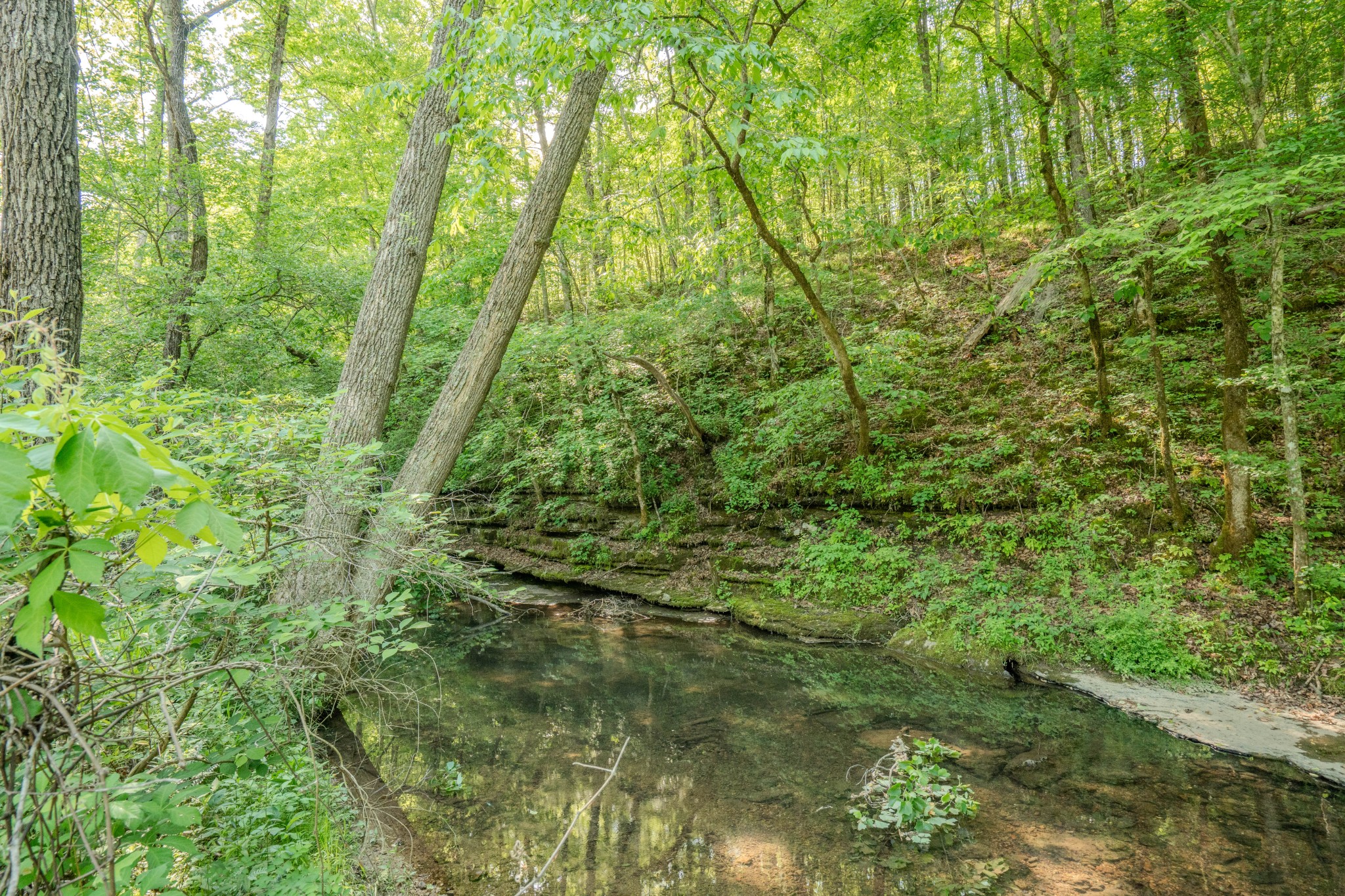 Listing image 47