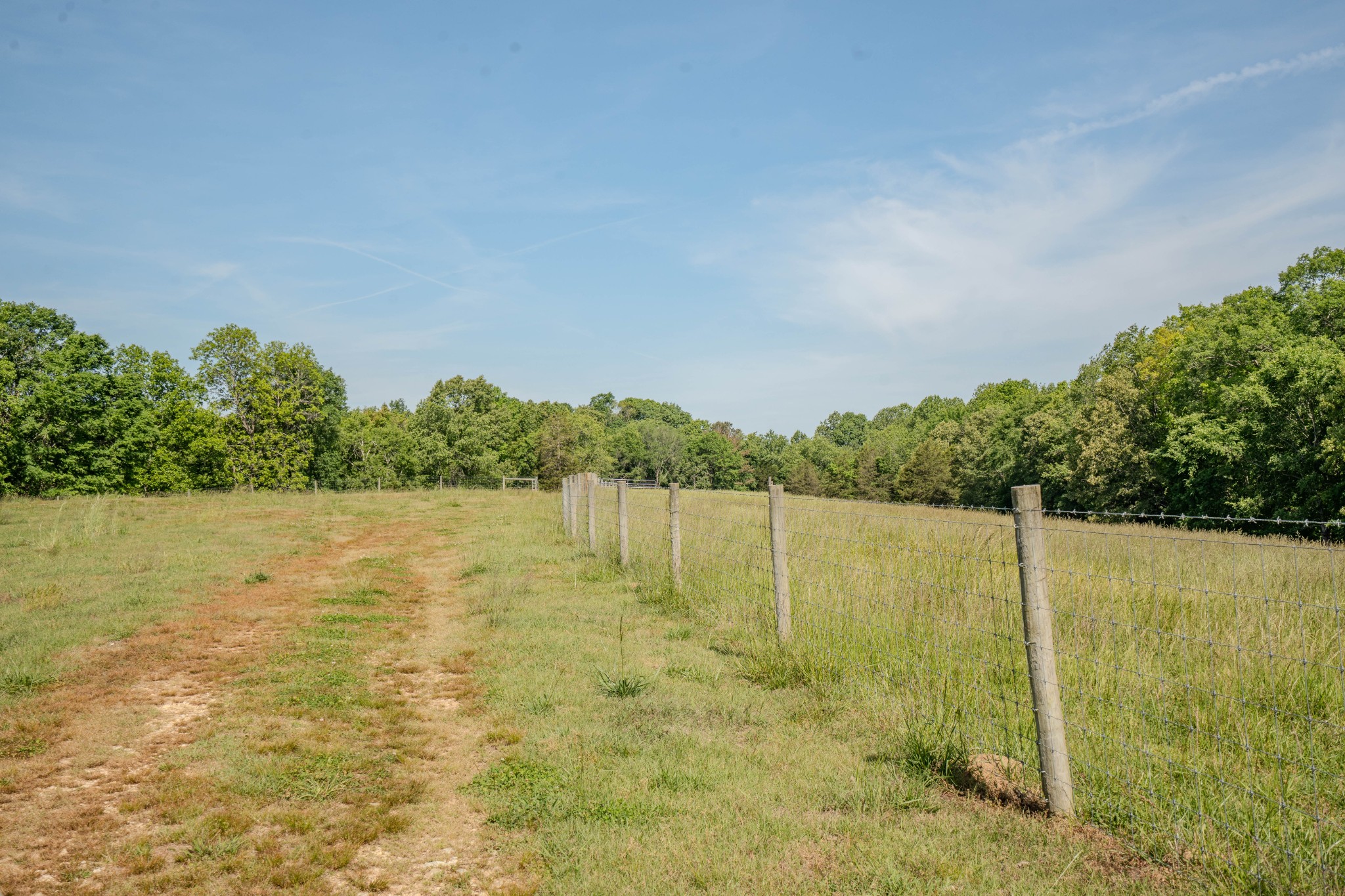 Listing image 52