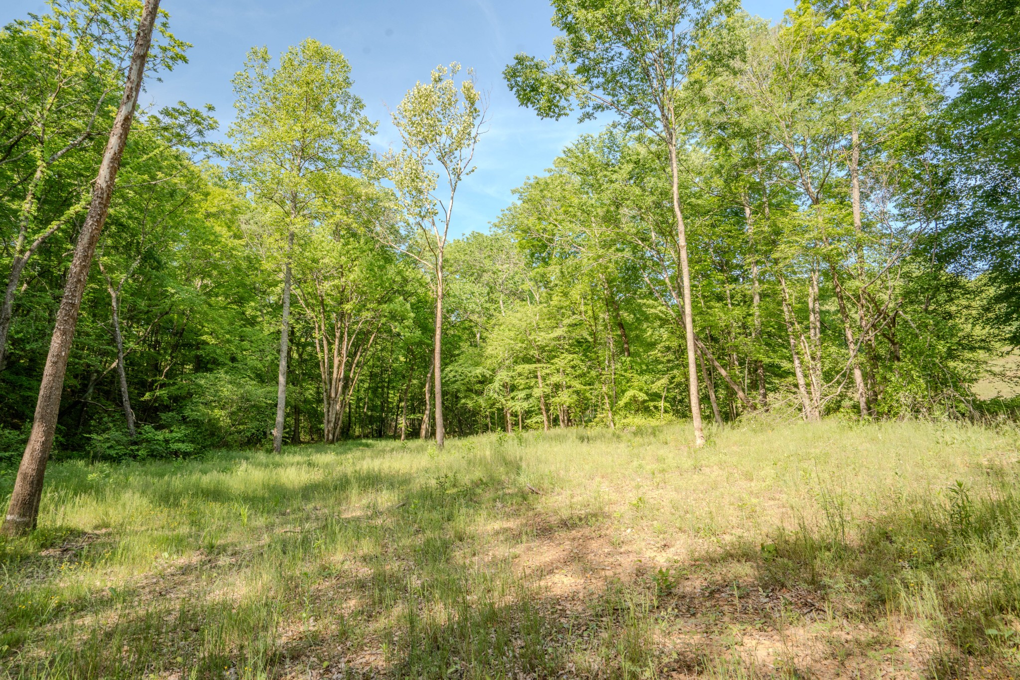 Listing image 46