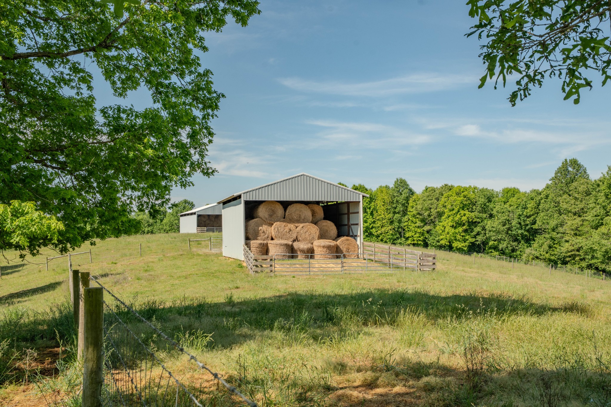 Listing image 56