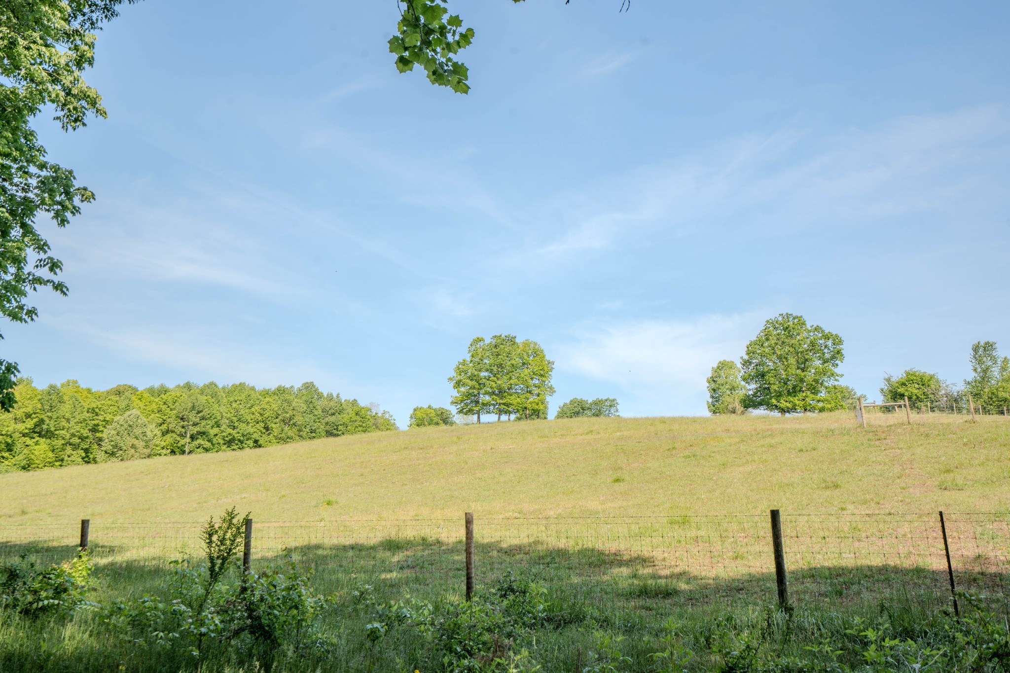 Listing image 42