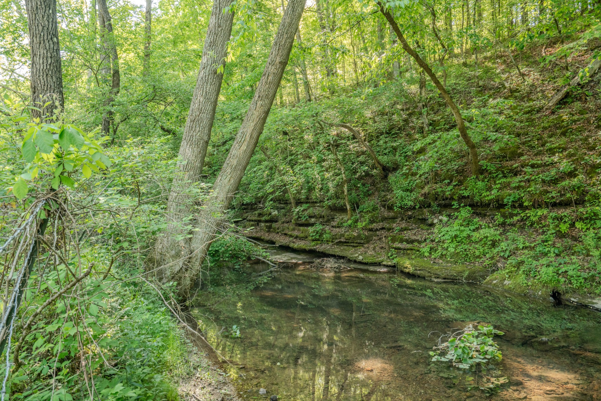Listing image 48