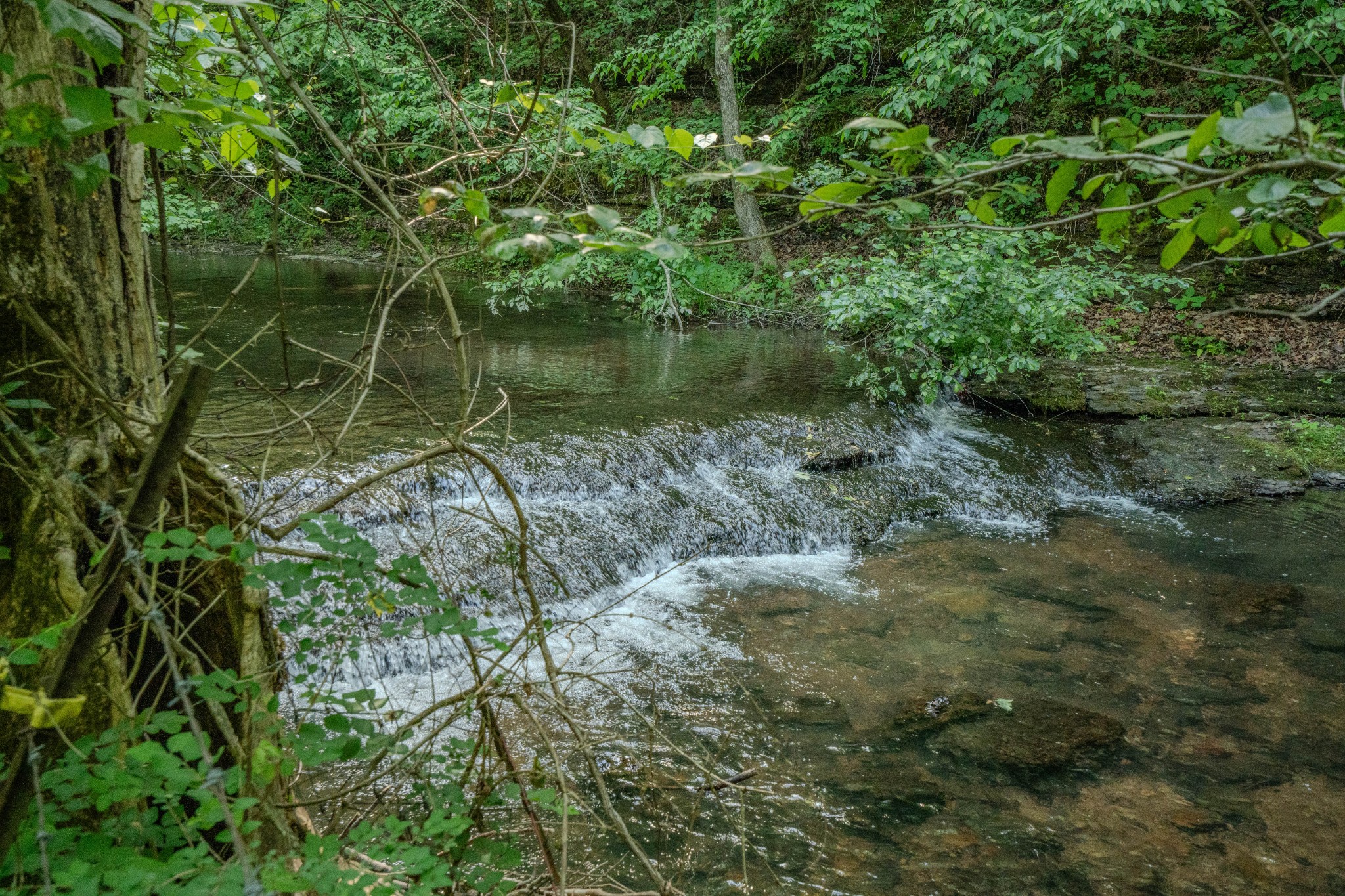 Listing image 44
