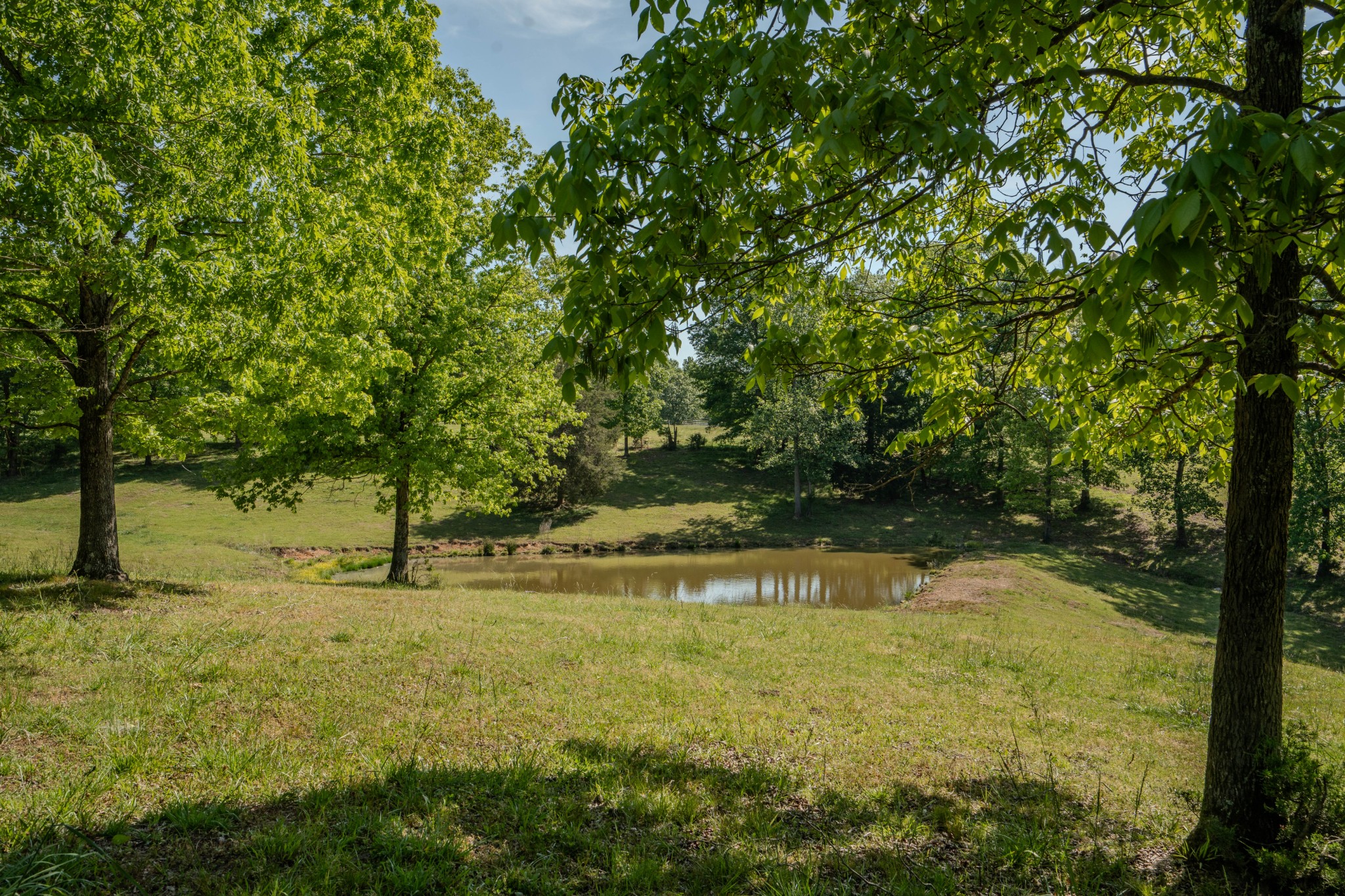 Listing image 61