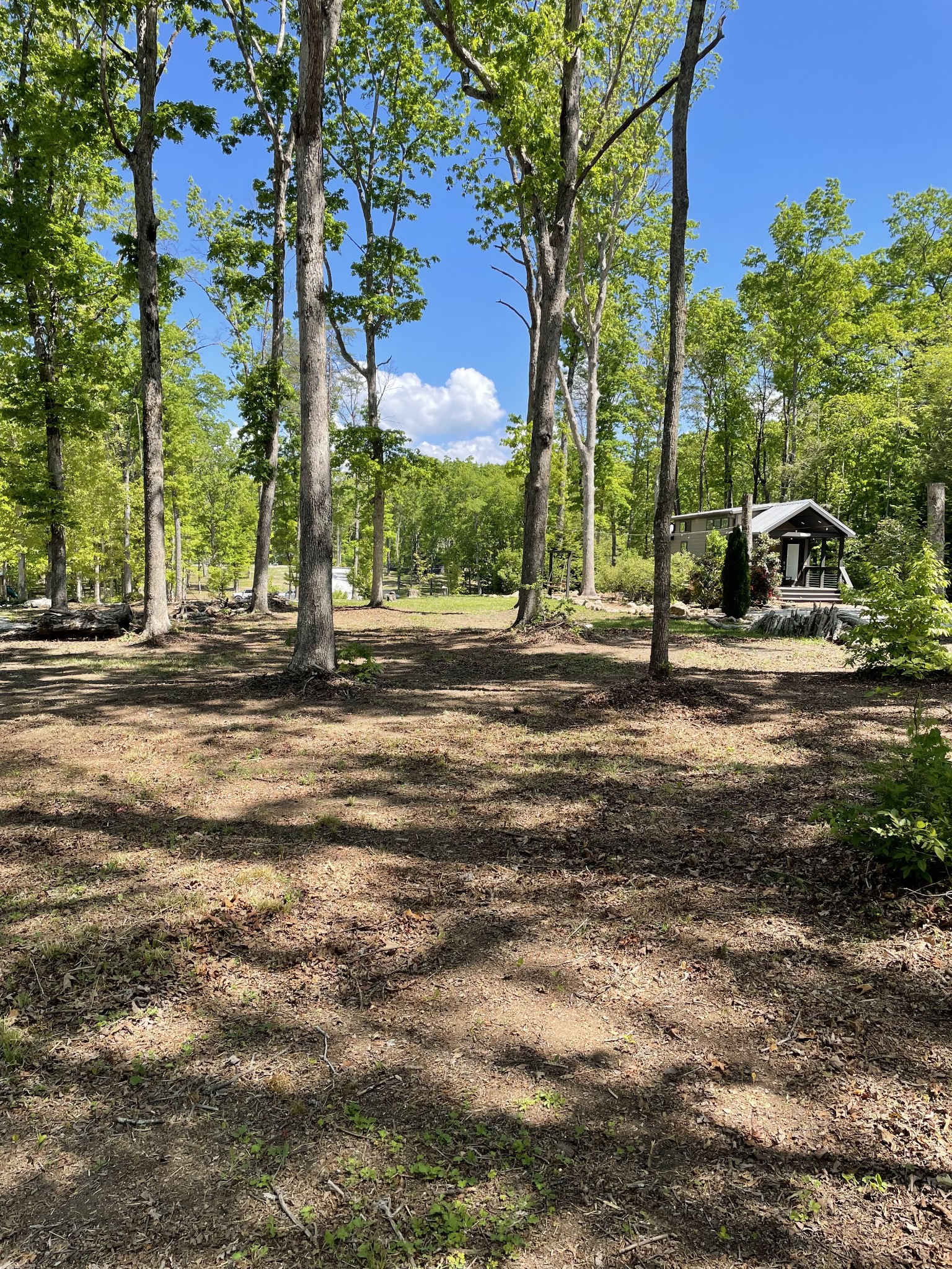 Listing image 41