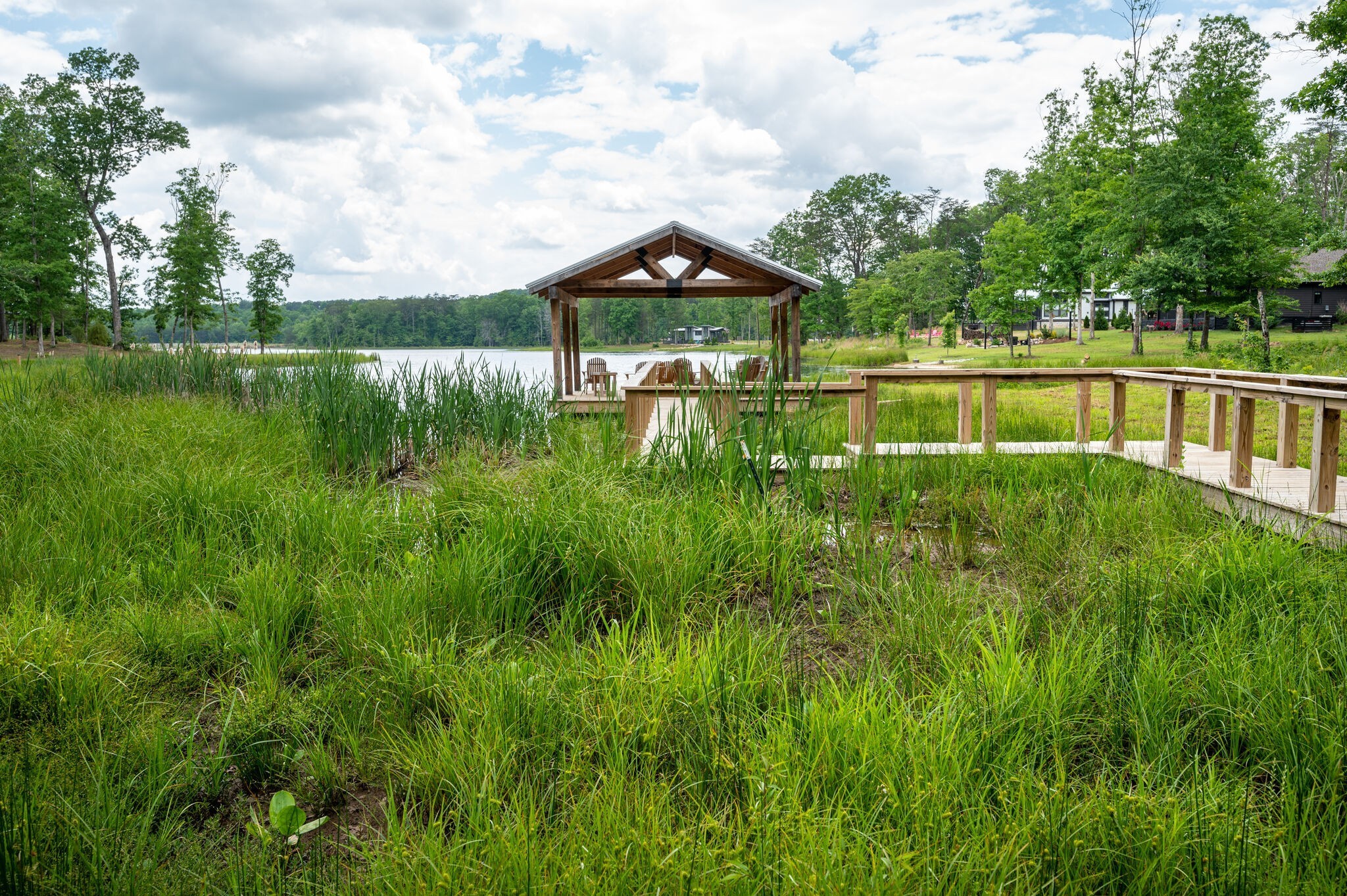 Listing image 53