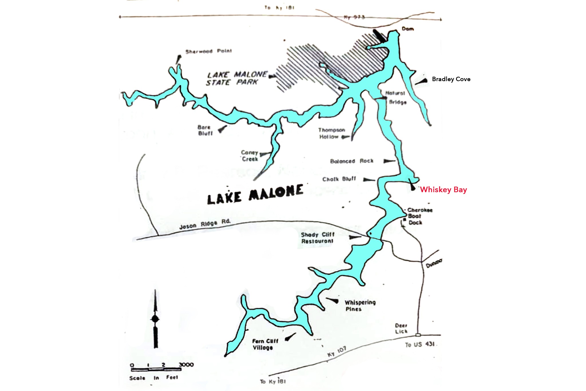 Listing image 53