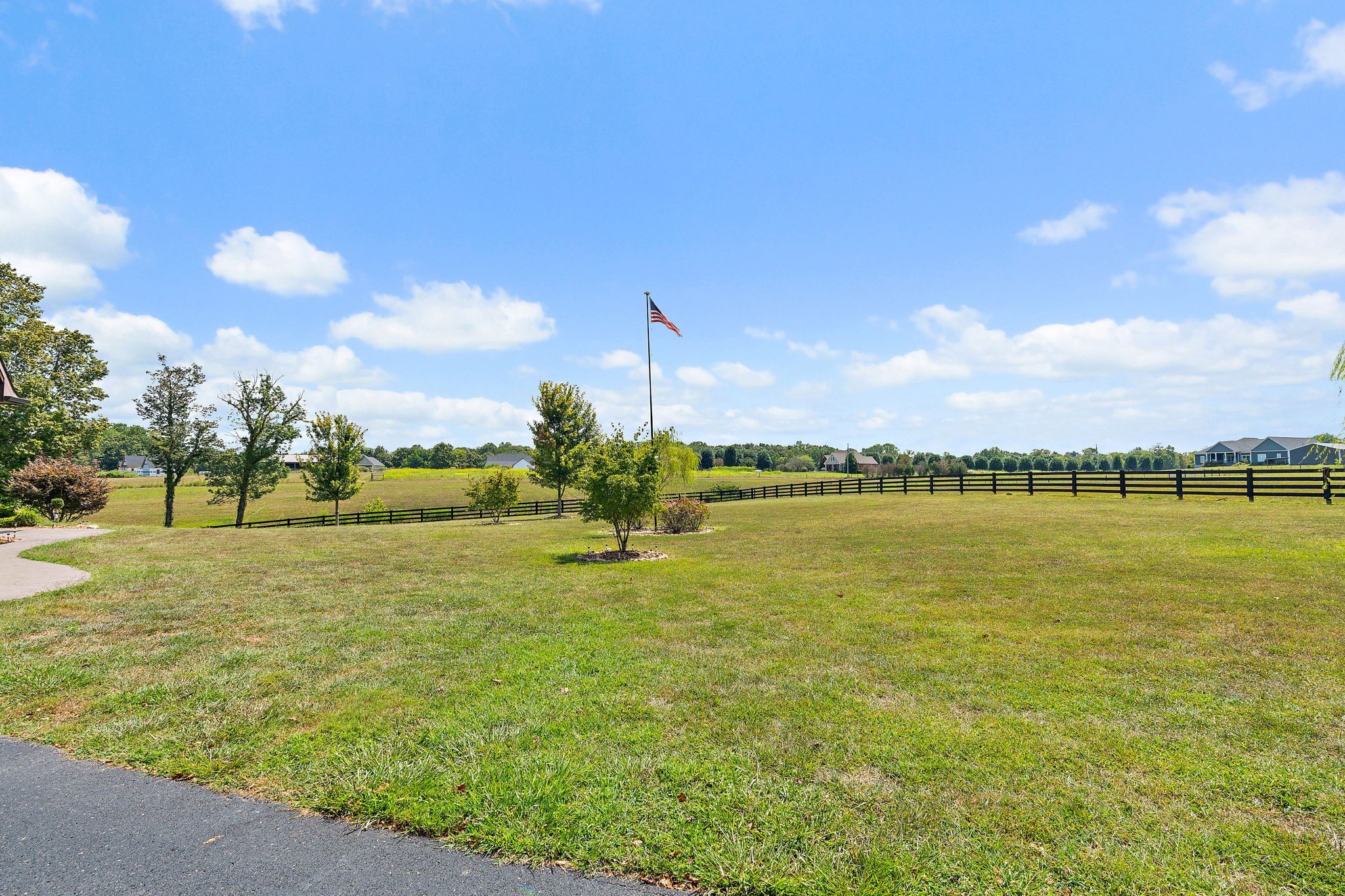 Listing image 85