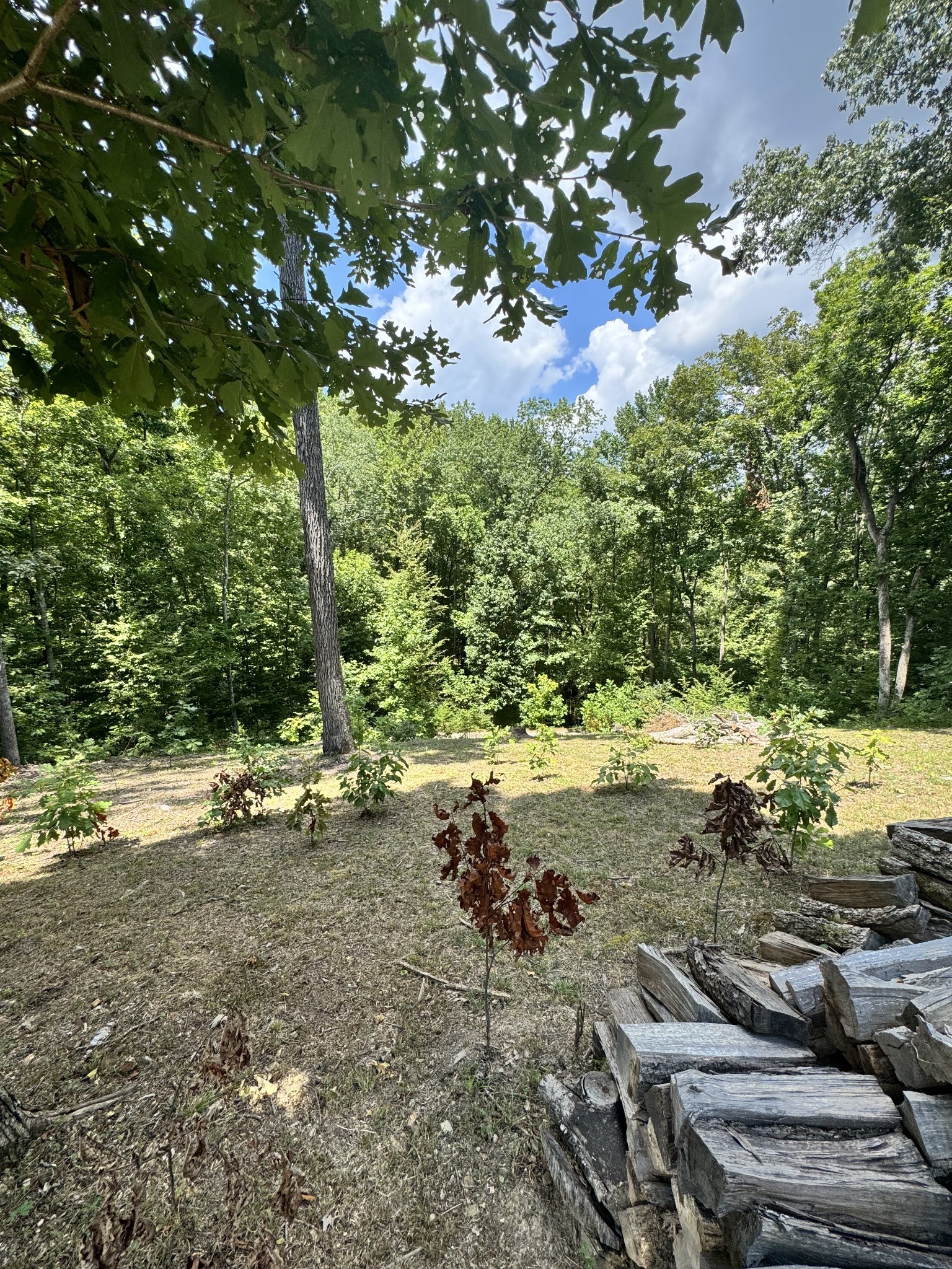 Listing image 33