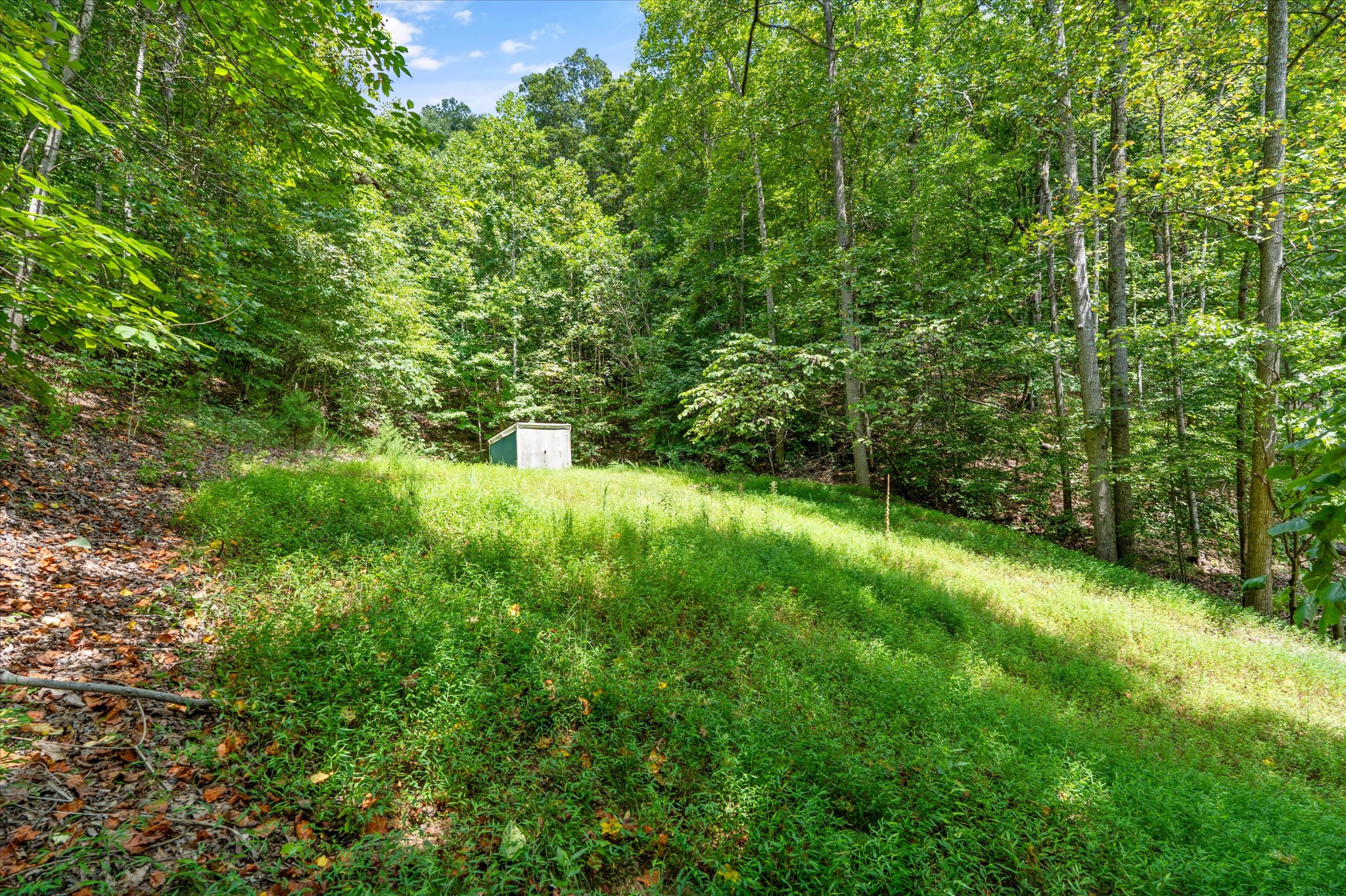 Listing image 84