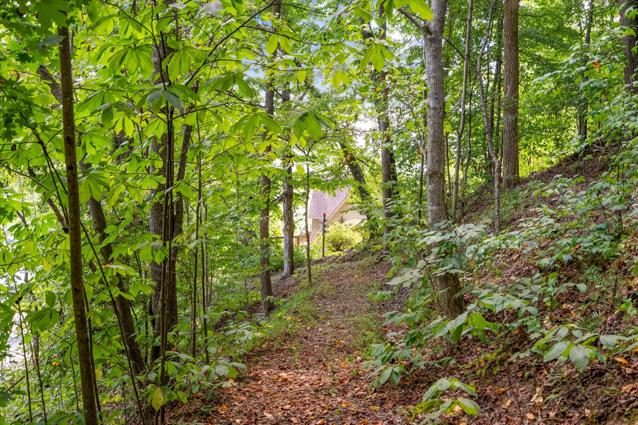 Listing image 83