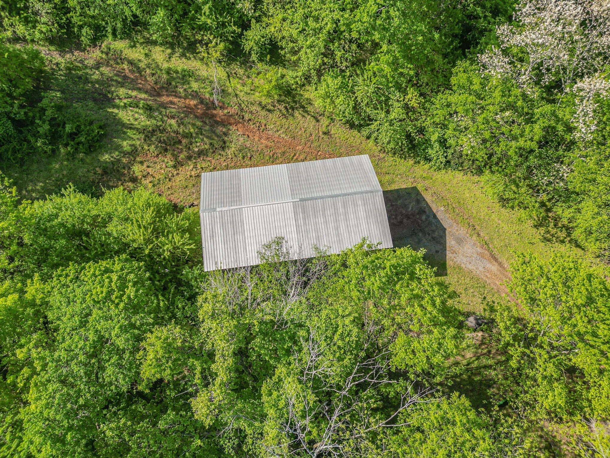 Listing image 7